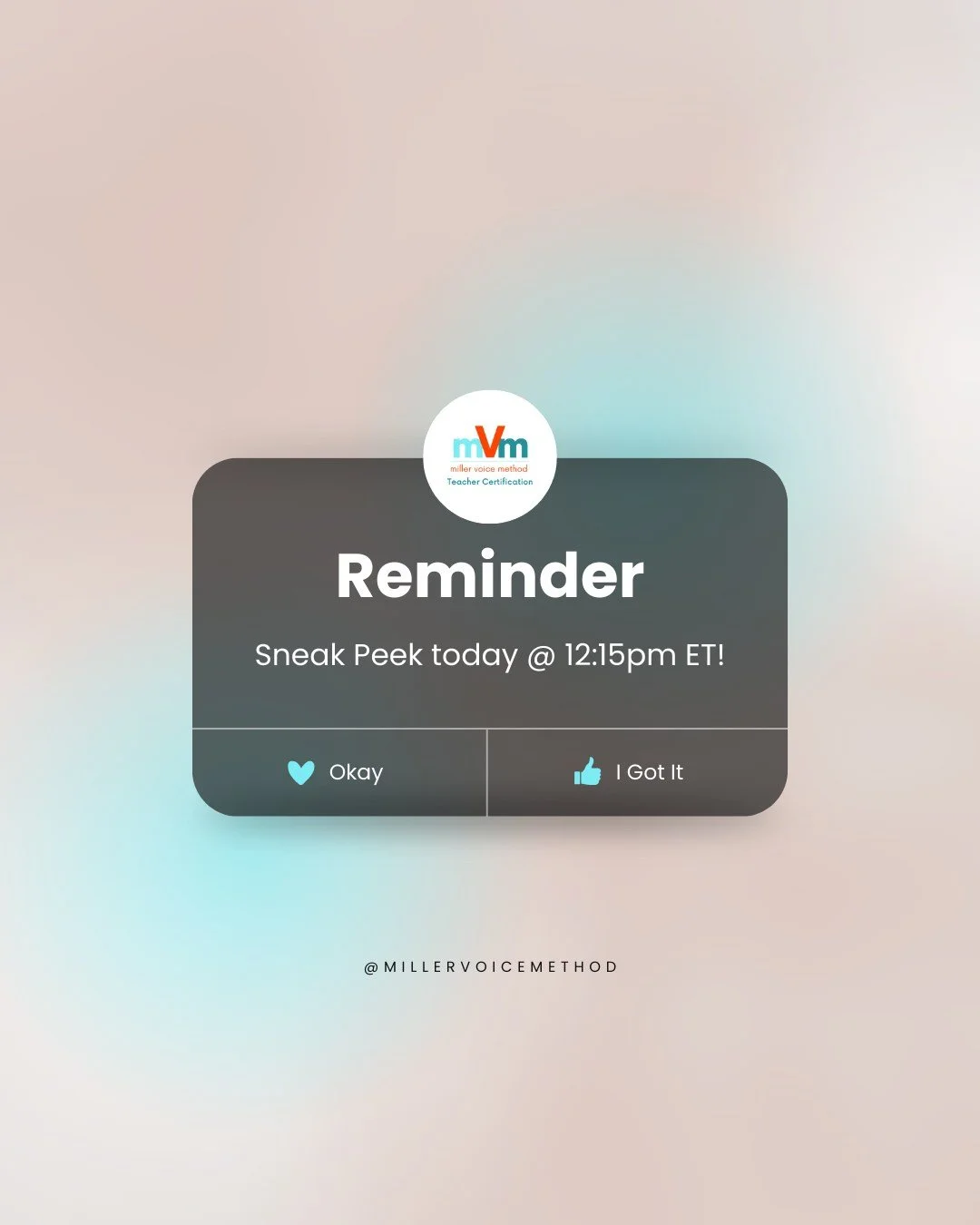 Get a sneak peek of mVm Teacher Certification before our spring class begins in two weeks!

Step into a global community of educators, coaches, and performers committed to teaching with compassion, clarity, and resonance. Reserve your spot and discov