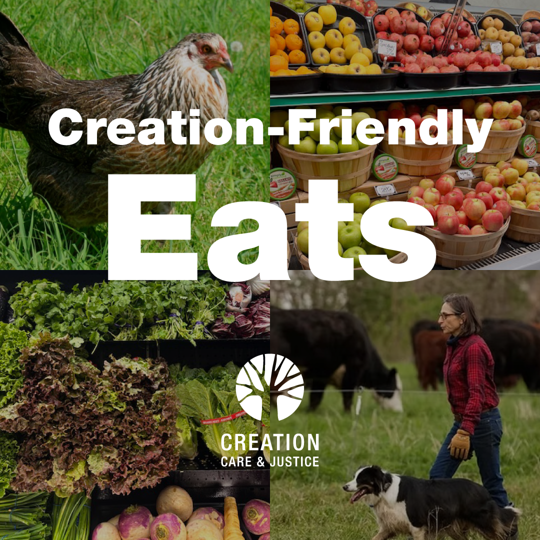 Creation-Friendly Eats Guide