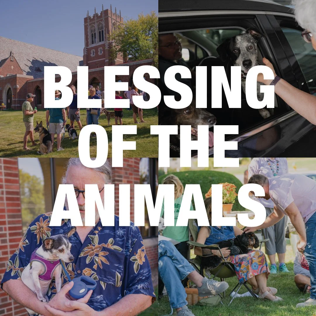 Oct 3: Blessing of the Animals