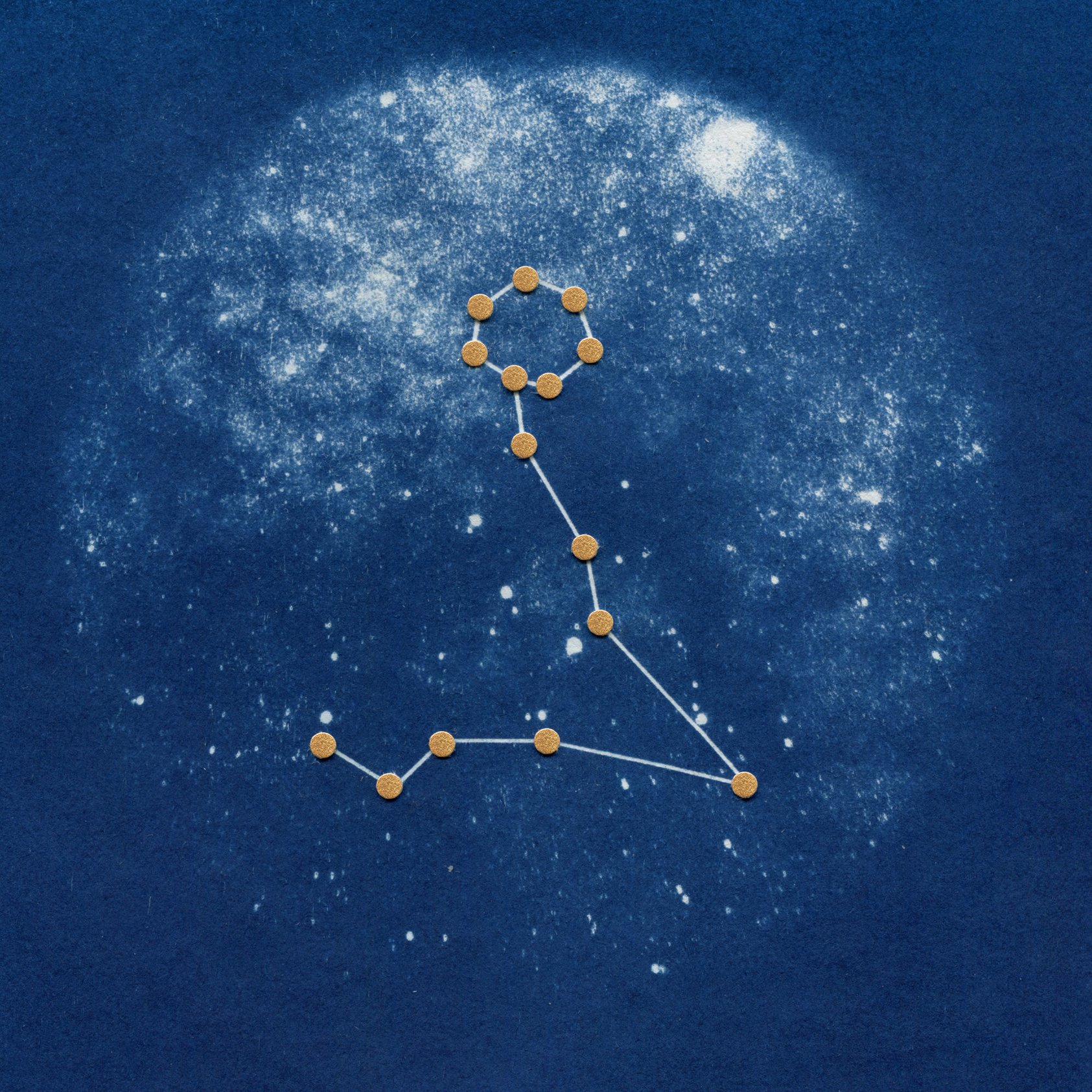 WEBSHOP-Sophia Jenny Cyanotype-A4 Zodiac Pisces Square.jpg