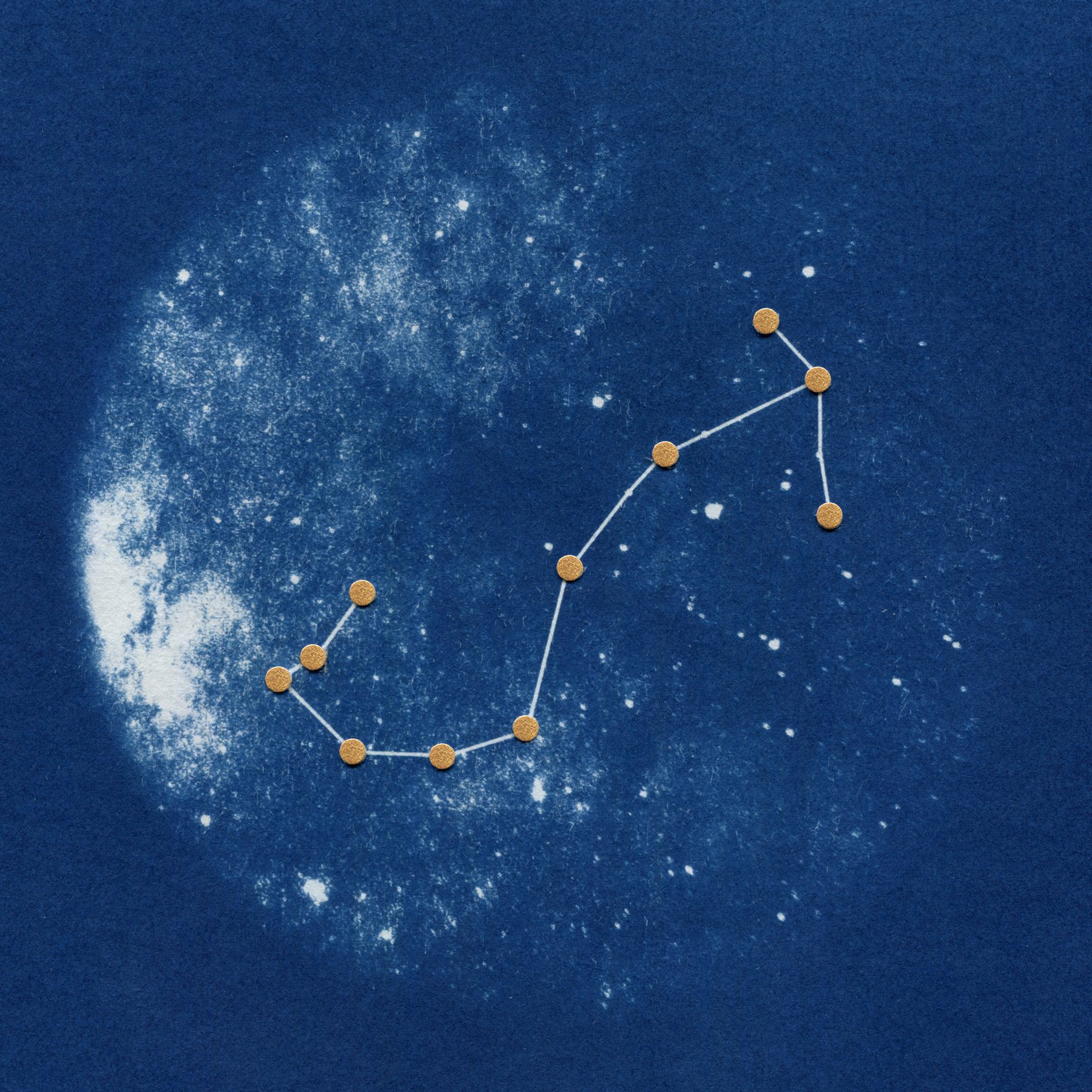 WEBSHOP-Sophia Jenny Cyanotype-A4 Zodiac Scorpio Square.jpg