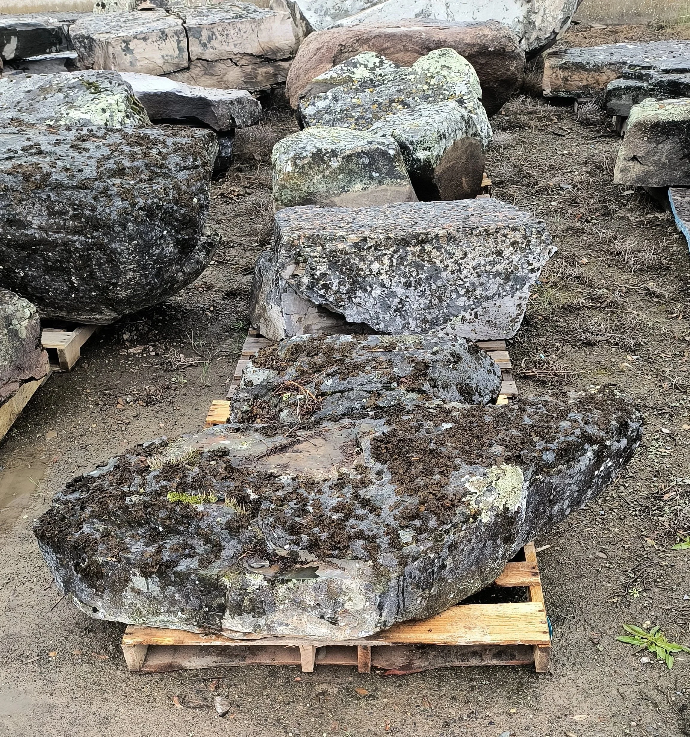 Blue Ridge Mossy Boulder