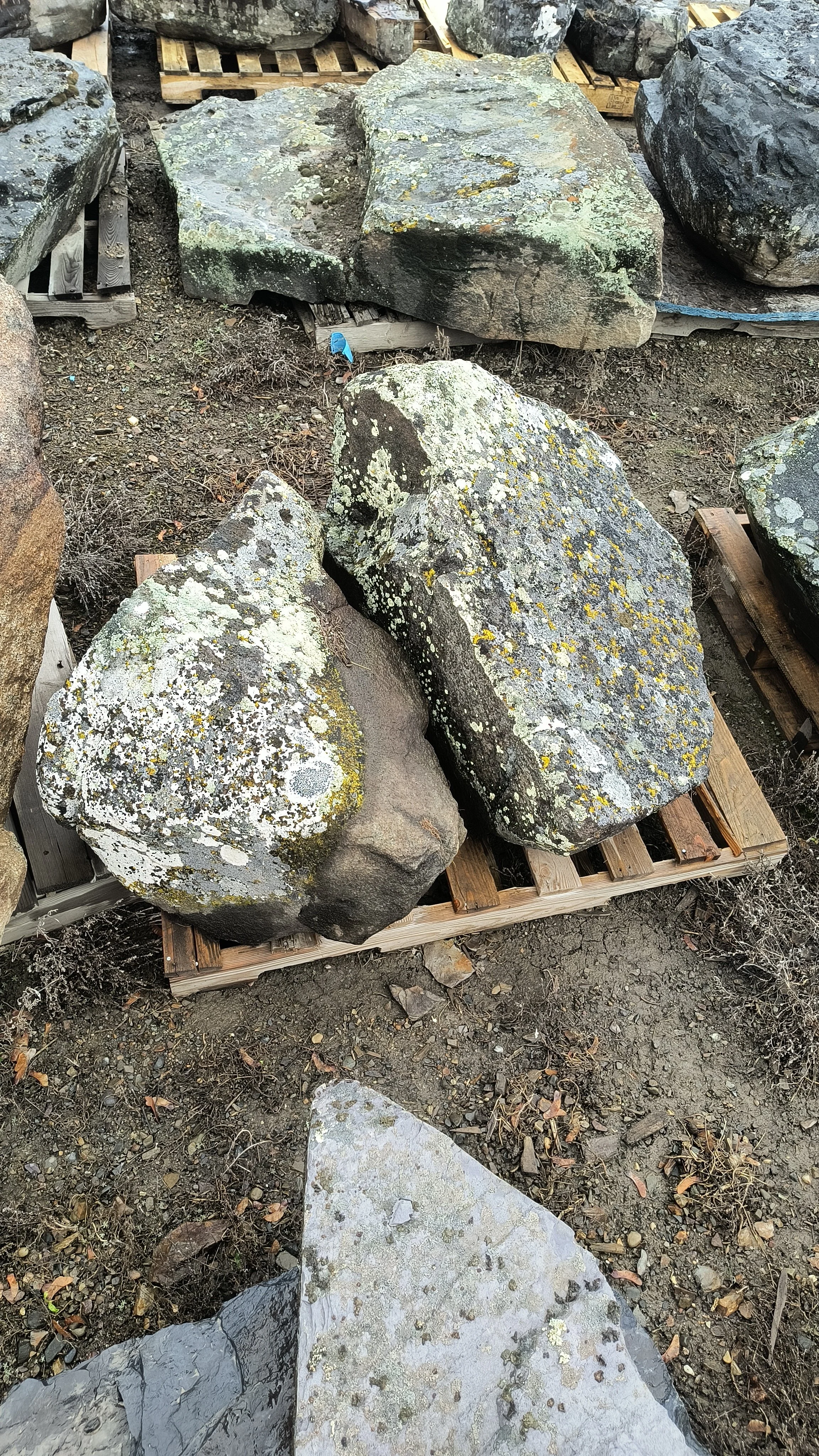 Elk Mountain Mossy Boulder