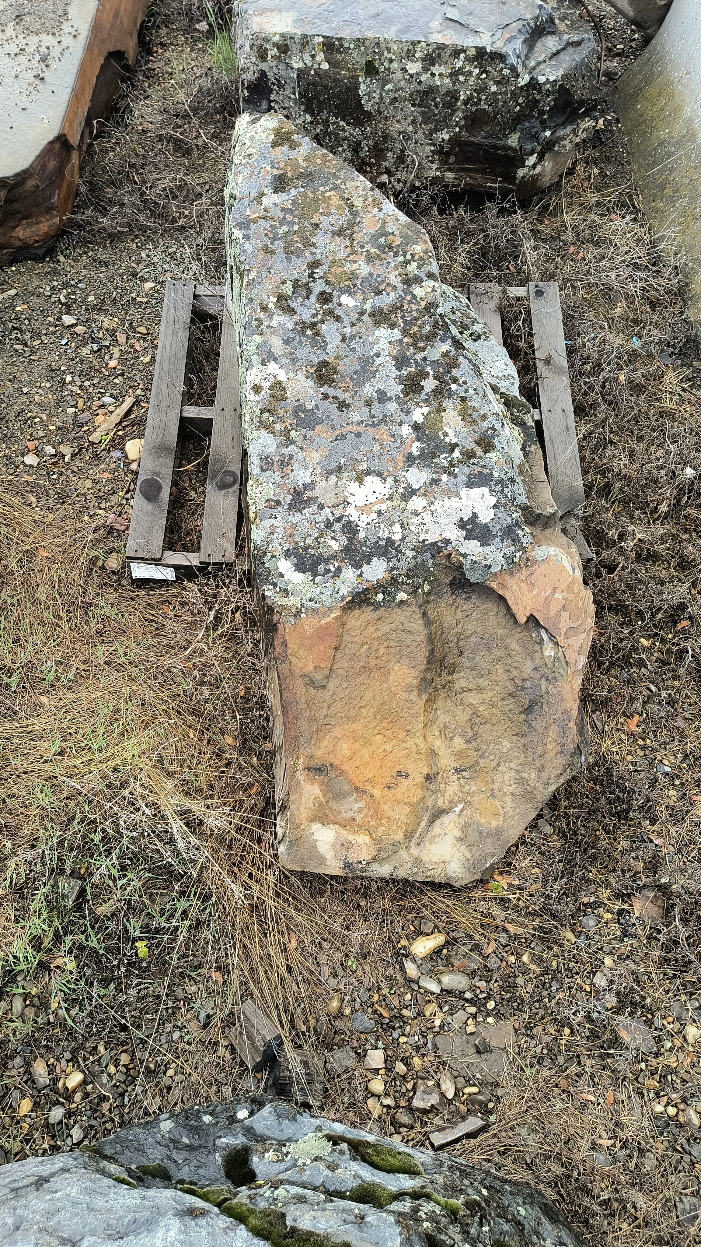 Elk Mountain Mossy Boulder