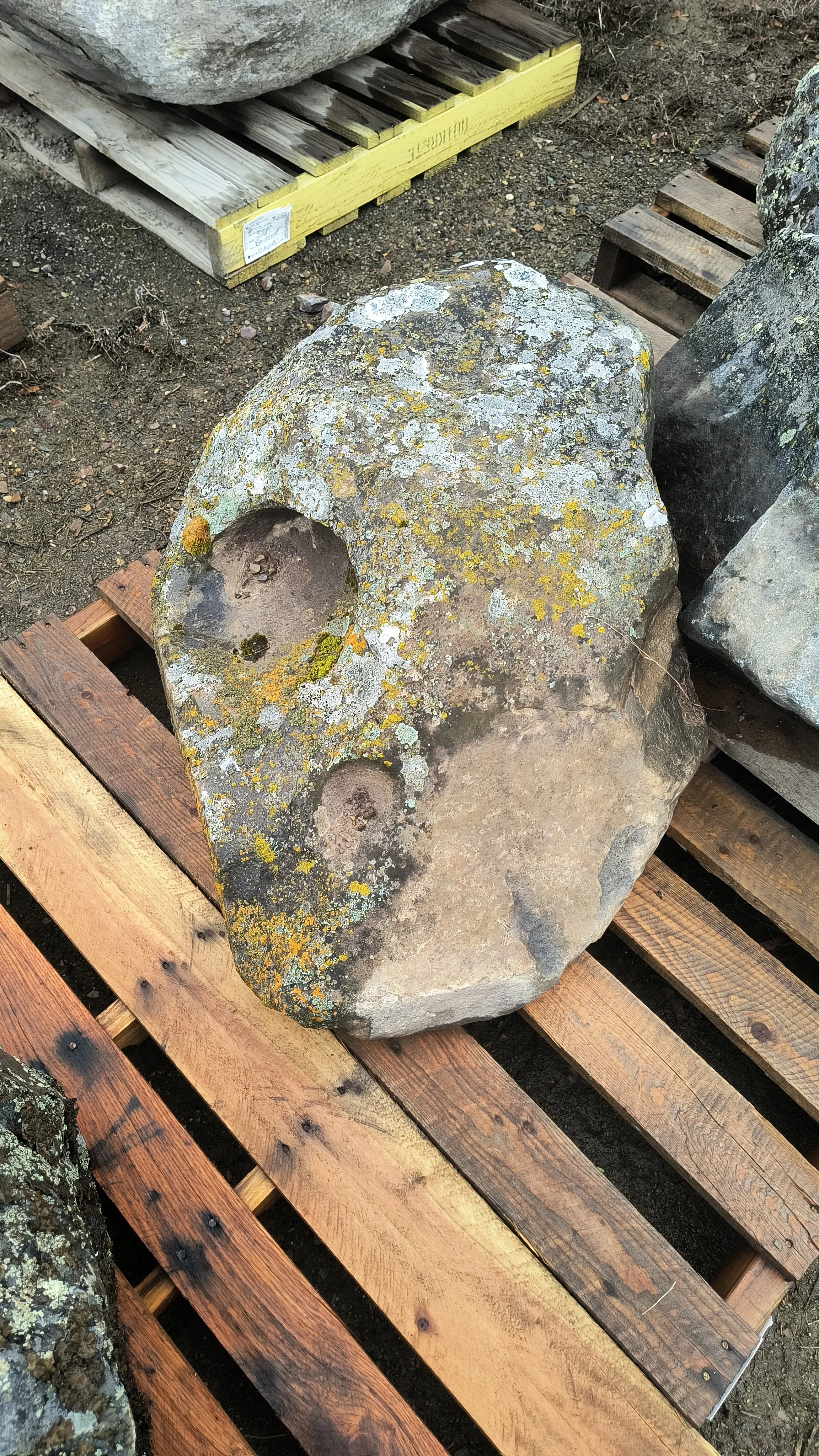 Elk Mountain Mossy Boulder
