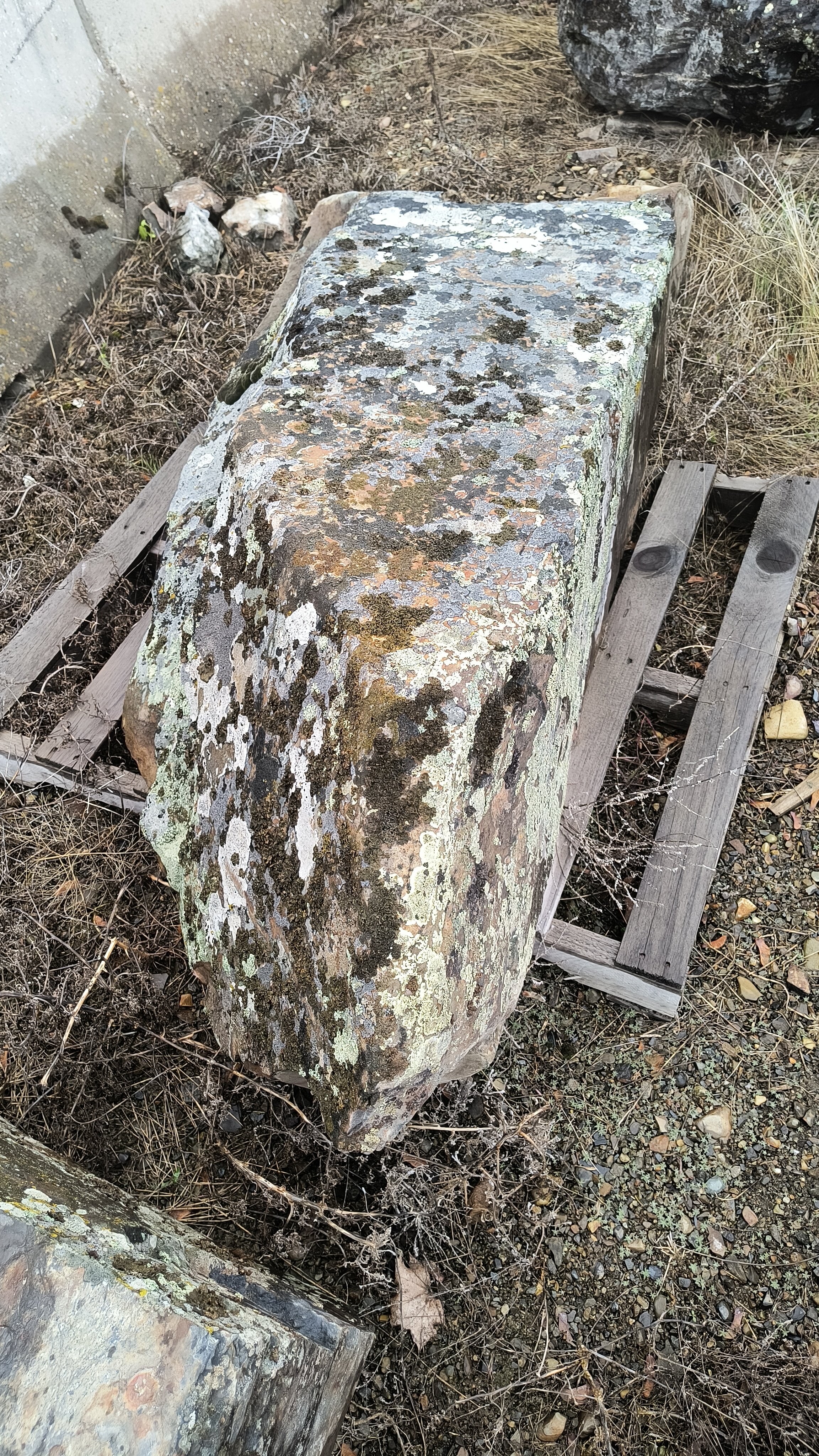Elk Mountain Mossy Boulder