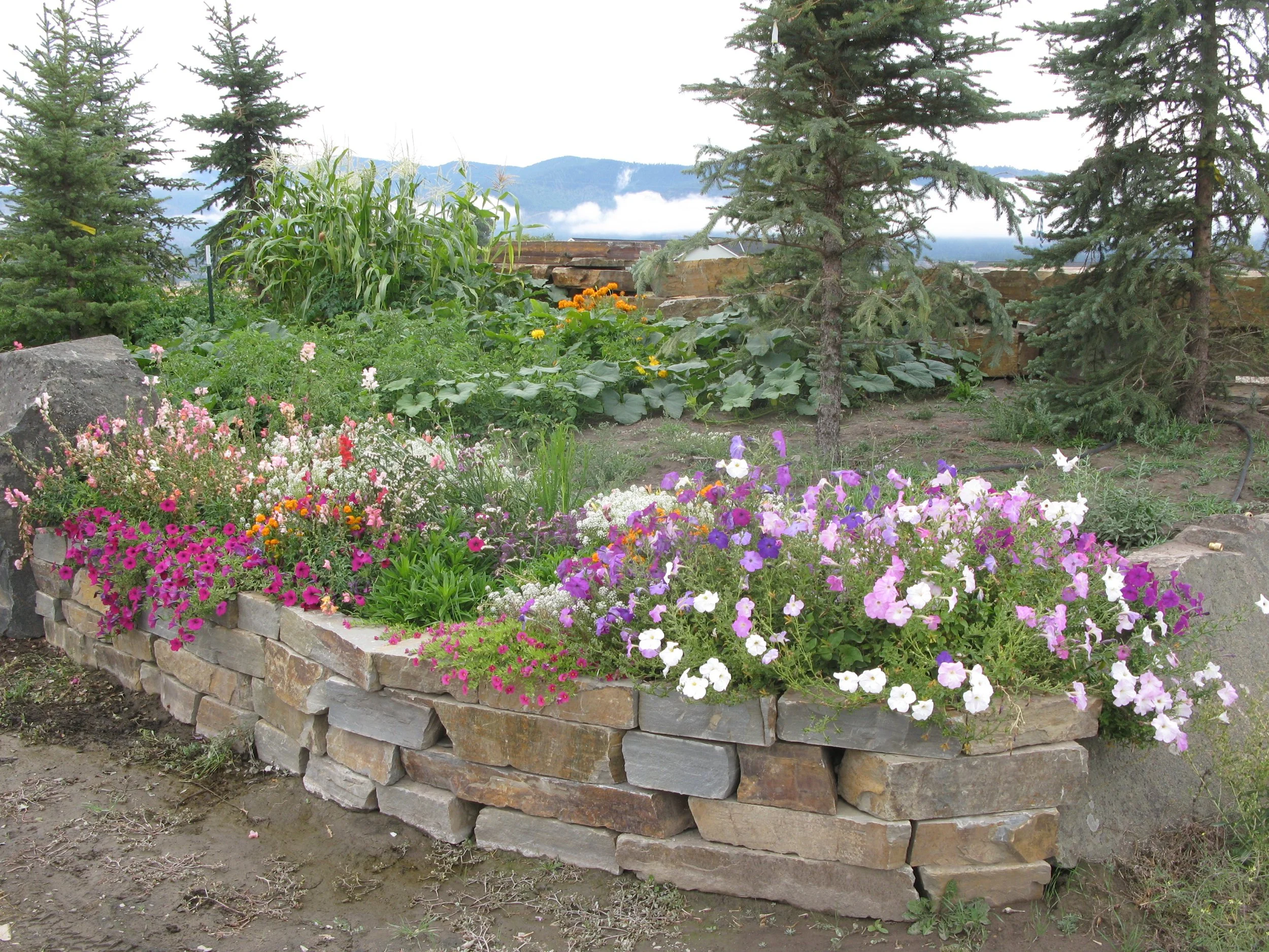 sage hills dry stack landscaping (3).JPG