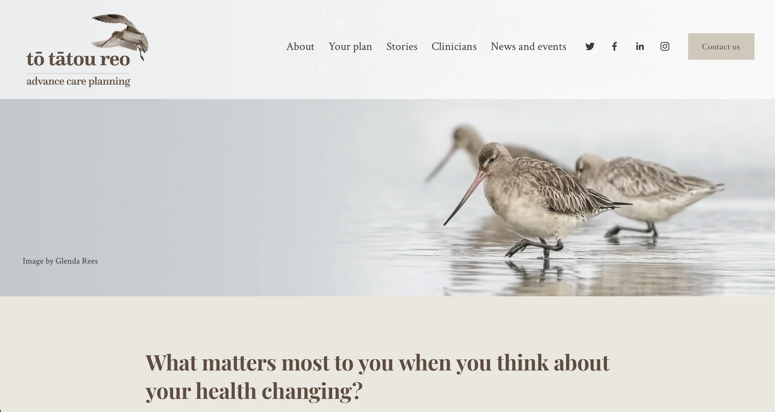 Advance Care Planning in Aotearoa New Zealand