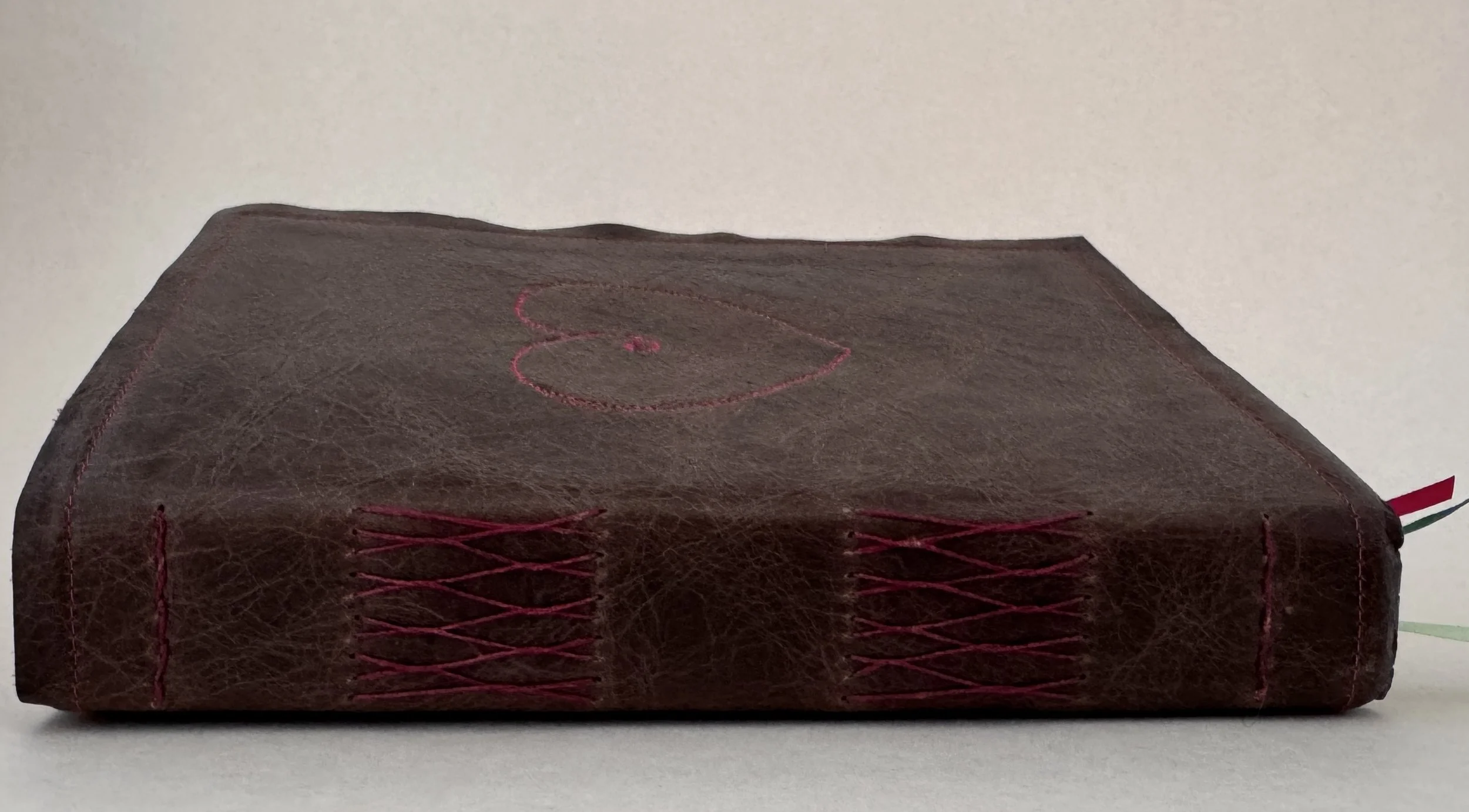 1_Side view of binding.jpg