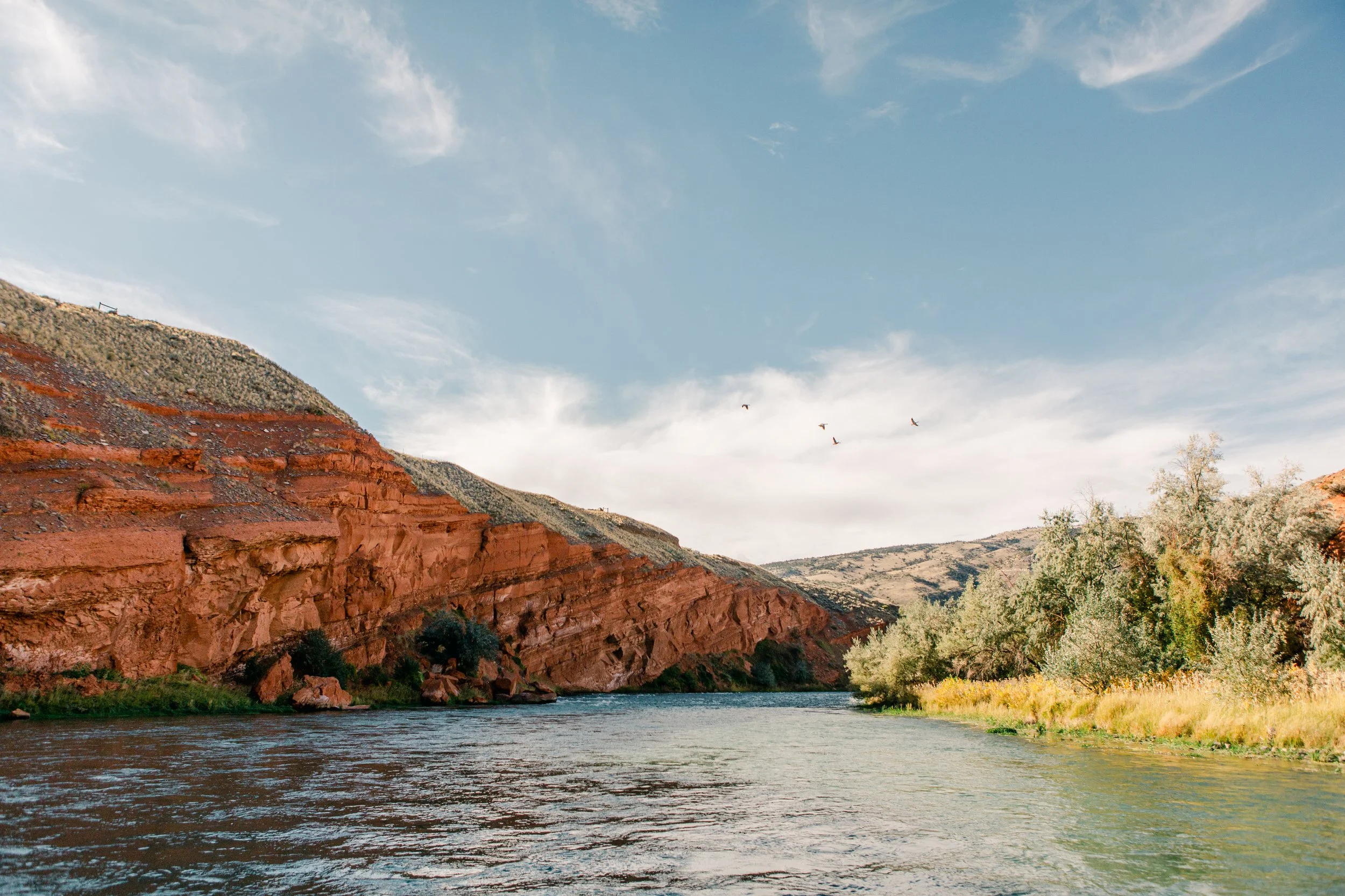 Scenic Wyoming river fly fishing float through the Lower Shoshone Canyon in Cody Wyoming