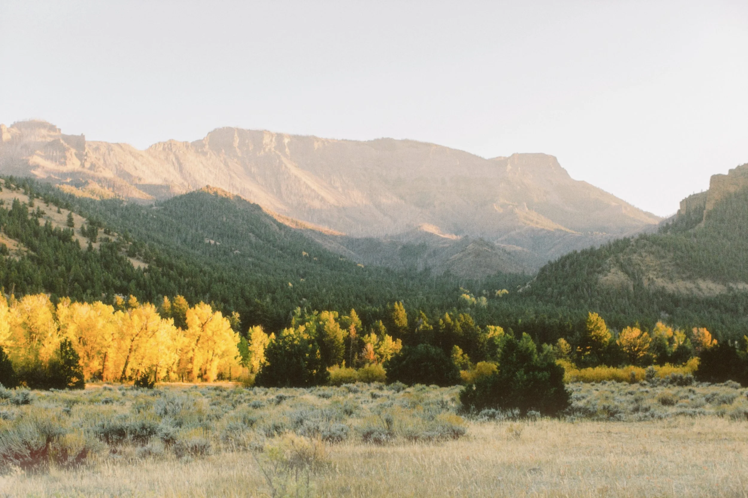 End of day light across the Absaroka Mountains outside of the east gate of Yellowstone national park.