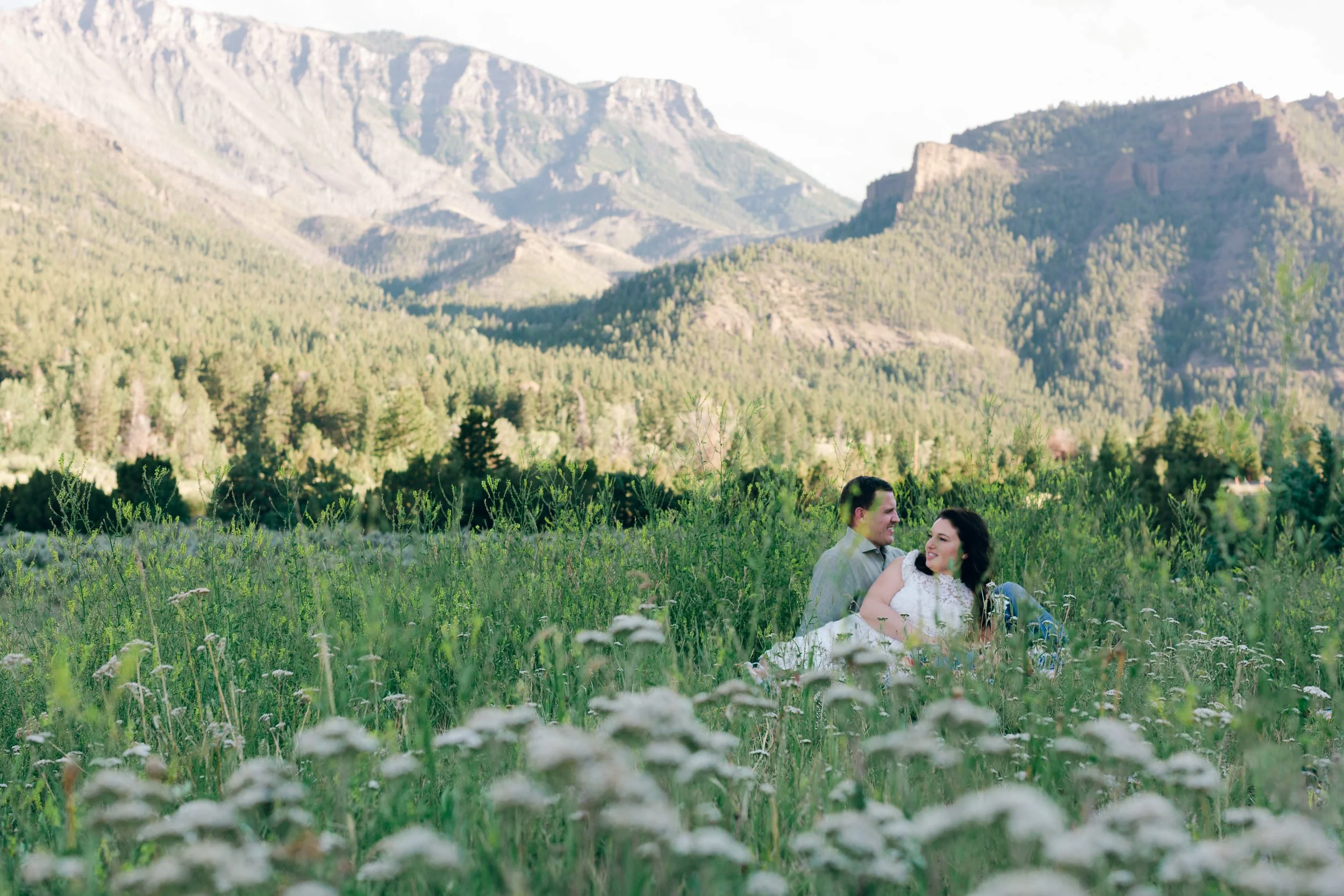 Field Journal | Among the Yarrow
