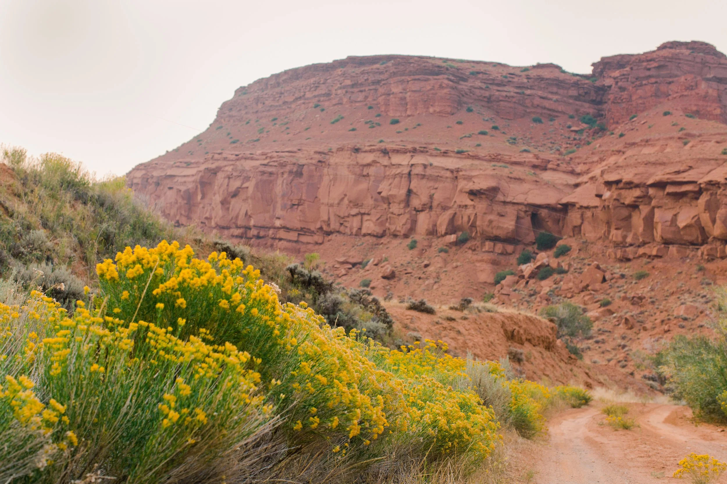 Red Rock Canyon on Wind River Reservation outside of Dubois Wyoming