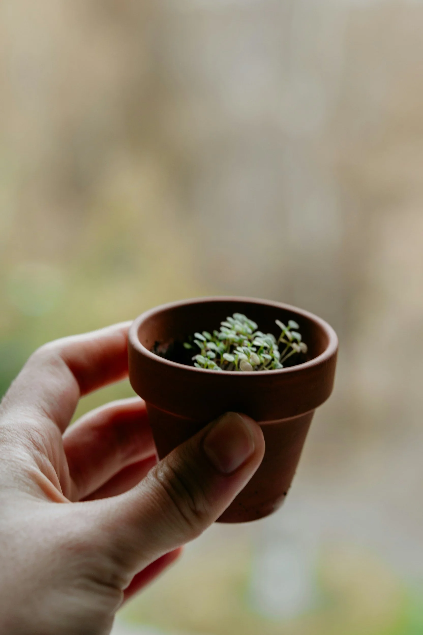 summer camp field trip