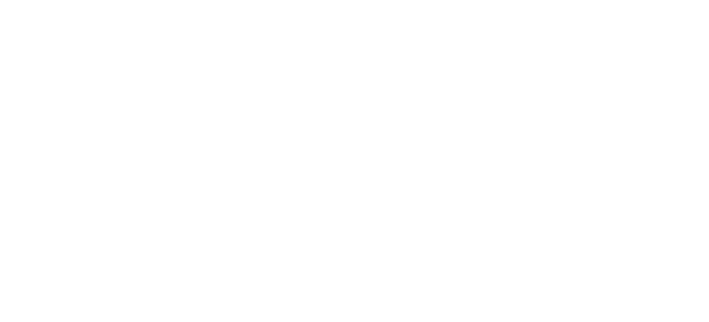 The Pilates Firm