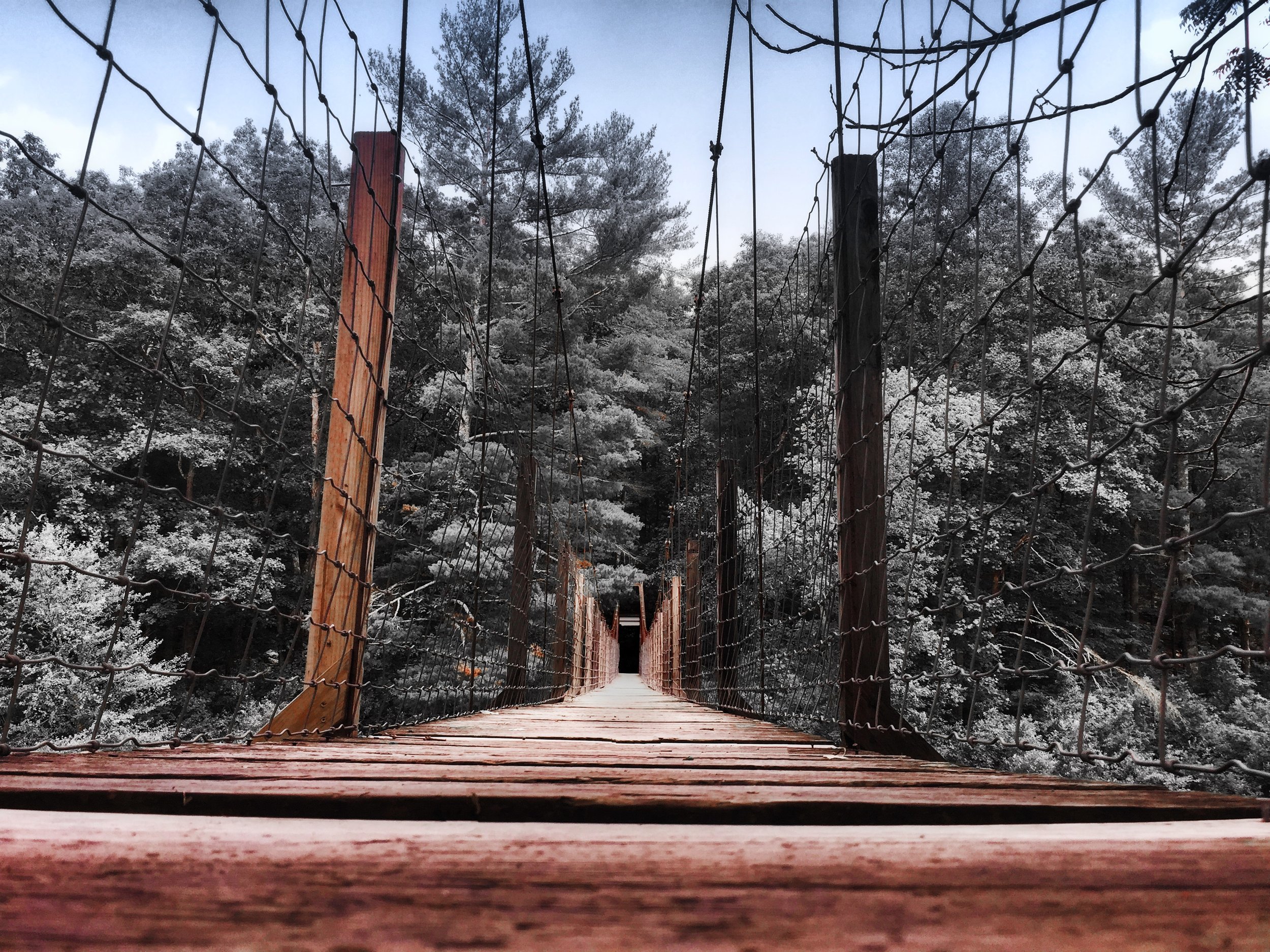 swinging bridge_06.jpeg