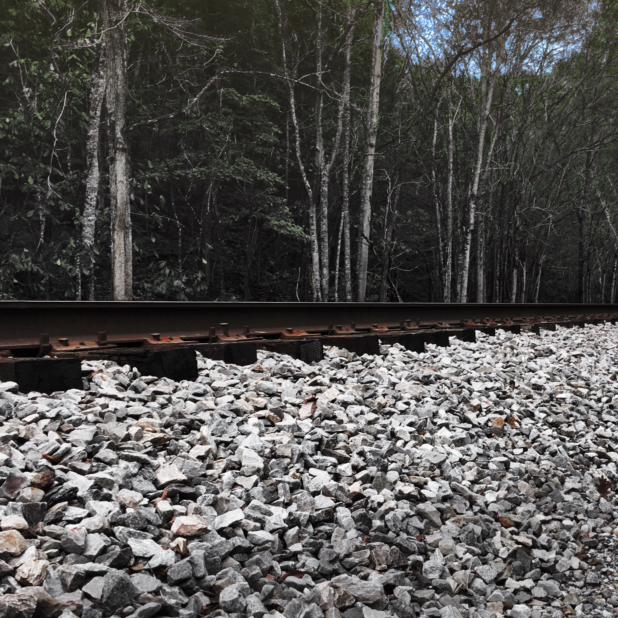 Track_06.jpeg
