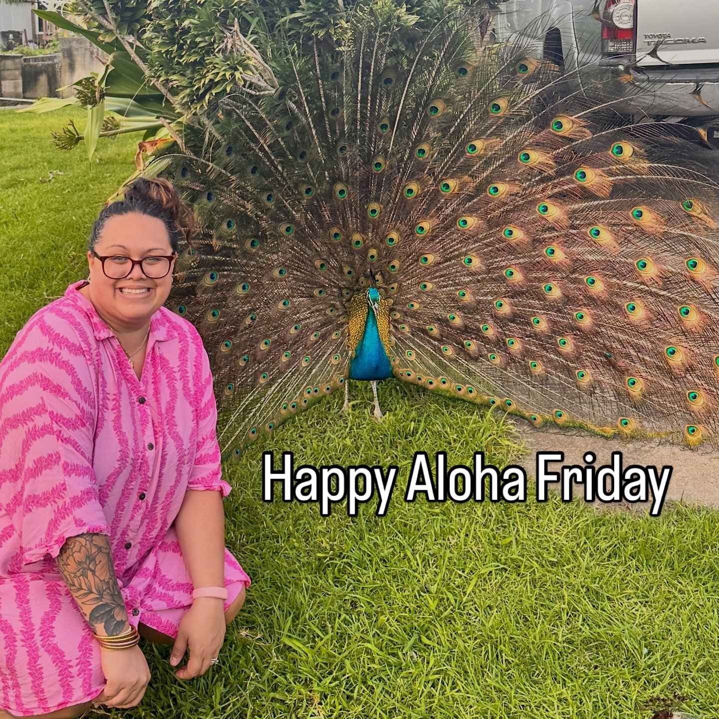 Happy Aloha Friday from me + big blue 🦚 The moments I spend and cherish with these animals are priceless. Pictures are keepsakes that I can always refer back to. 

He is just BEAUTIFUL, thanks blue for the.🤳 

#peacock #animallove #feathers #majest