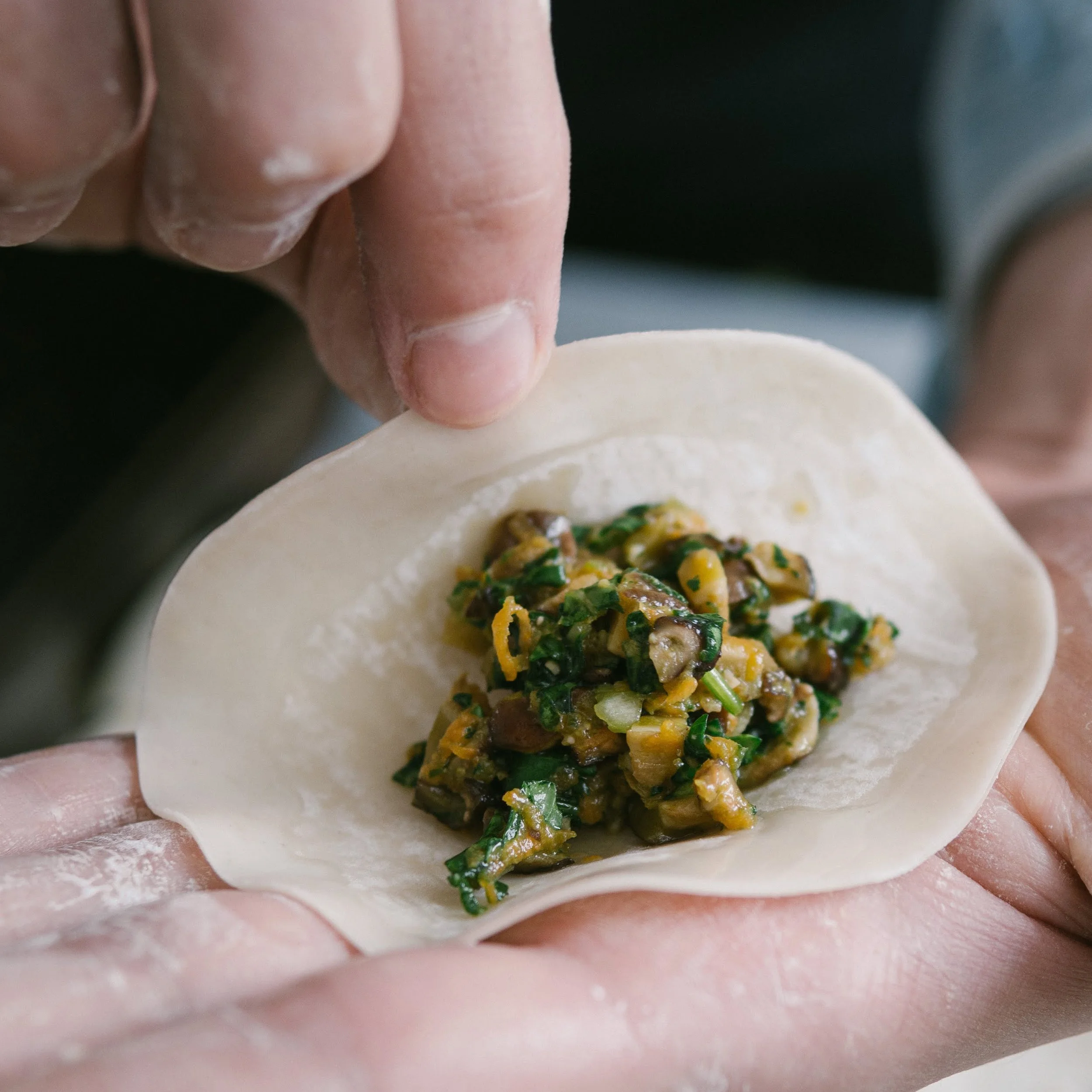 Chinese Cabbage Dumplings
