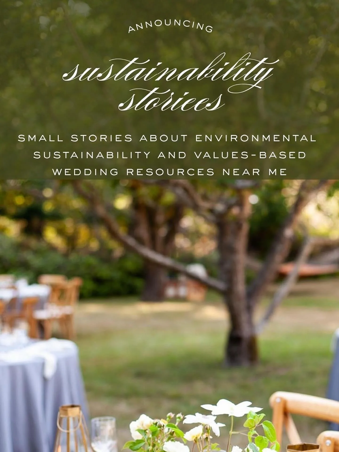 🌿 I&rsquo;m taking a break from my usual wedding posts to share something close to my heart.

Over the next few weeks, I&rsquo;ll be highlighting stories of environmental sustainability and values-based wedding vendors&mdash;many rooted in or inspir