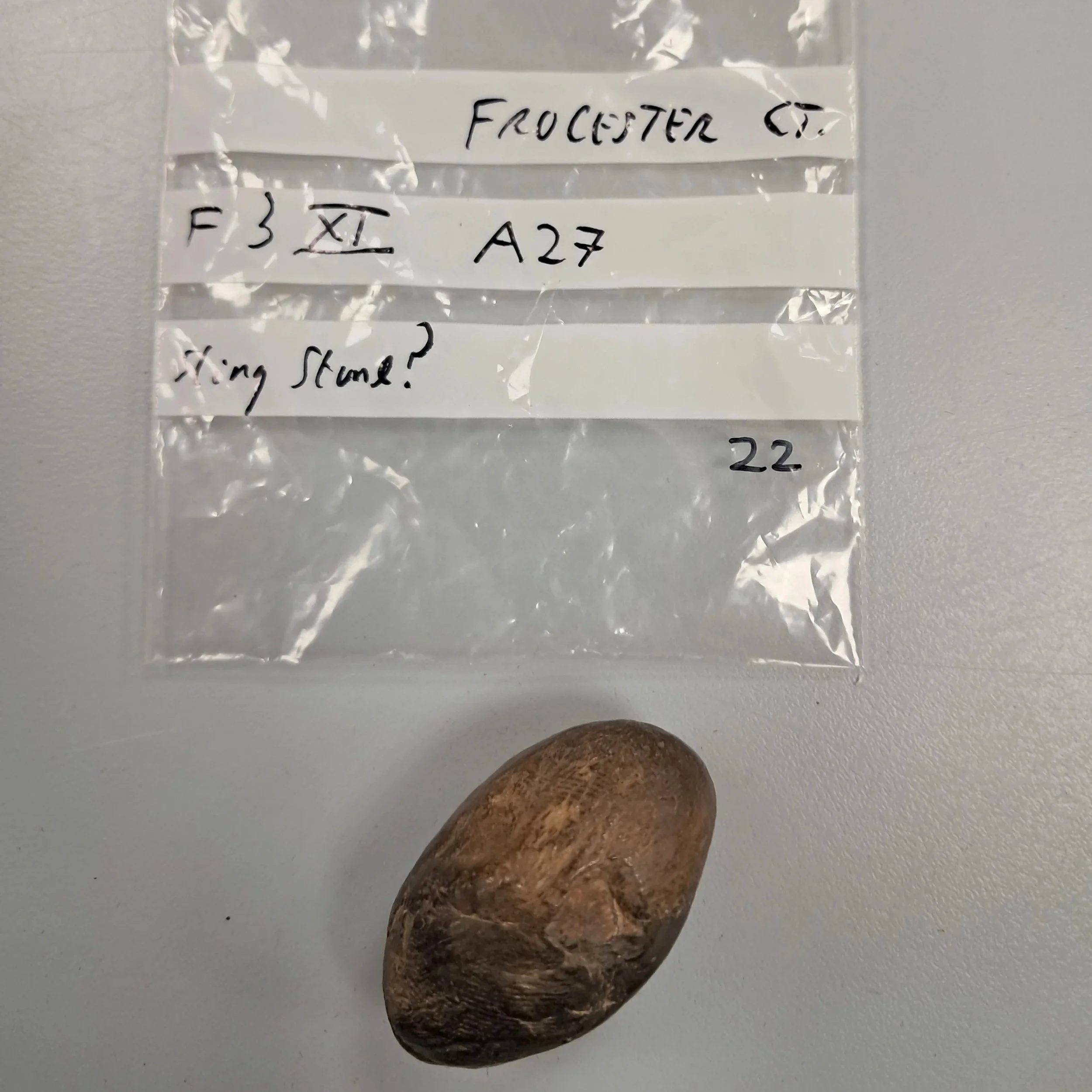Discovery Centre Finds – Sling Bullet