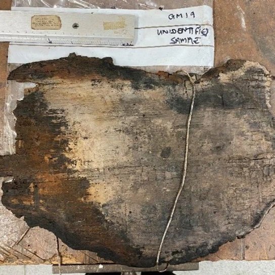 Dendrochronology project - Significant isotope dating result