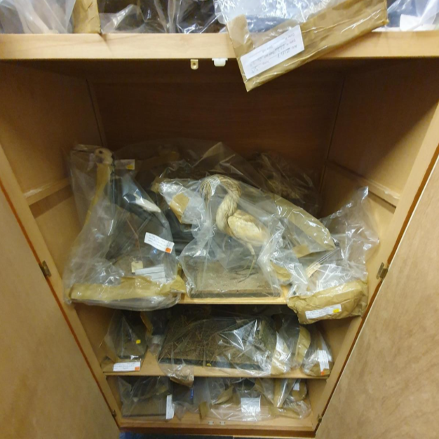 Hazards in Collections: Reducing the Risks – Heavy Metal(s)&nbsp;