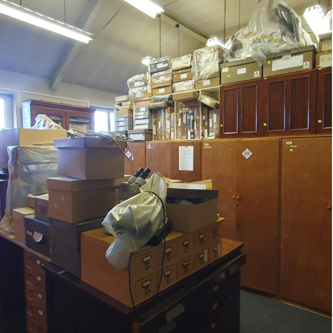 Hazards in Collections: Reducing the Risks – Great Grant! The Natural History Store is NOT a Bore!