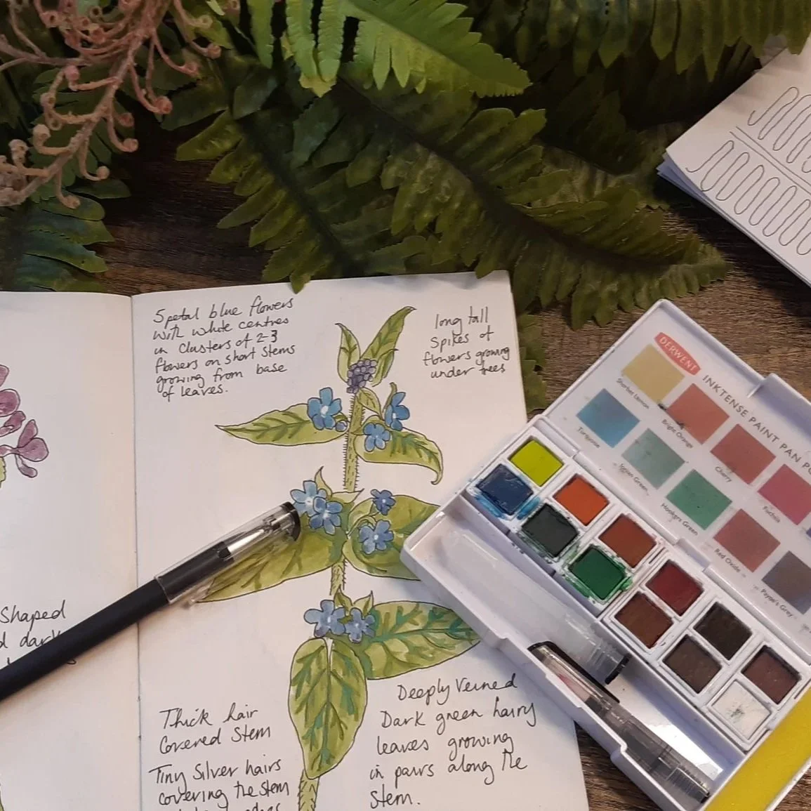 Nature Journal Workshop (U16)