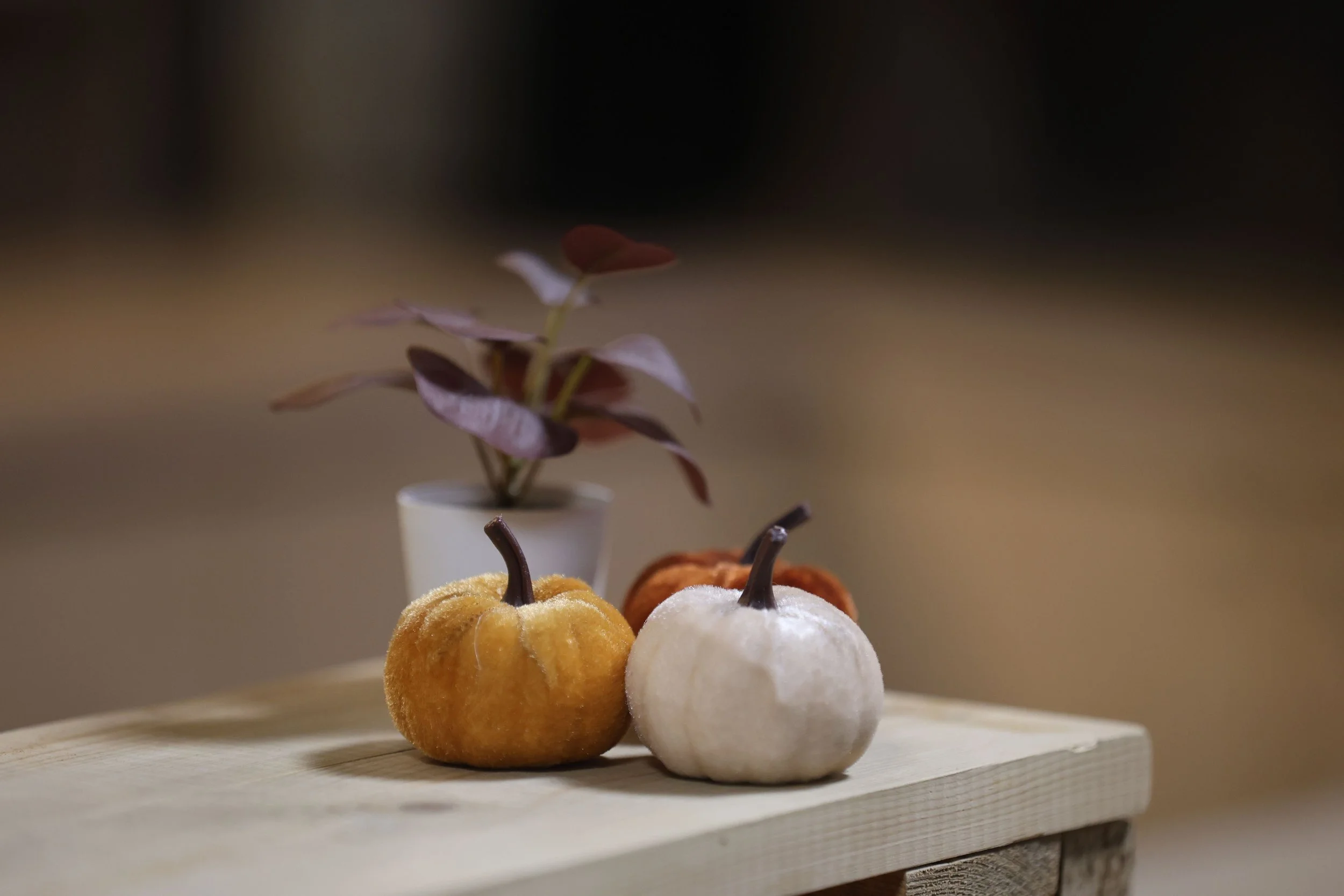 Museum of Ghoulster: Pumpkin Trail