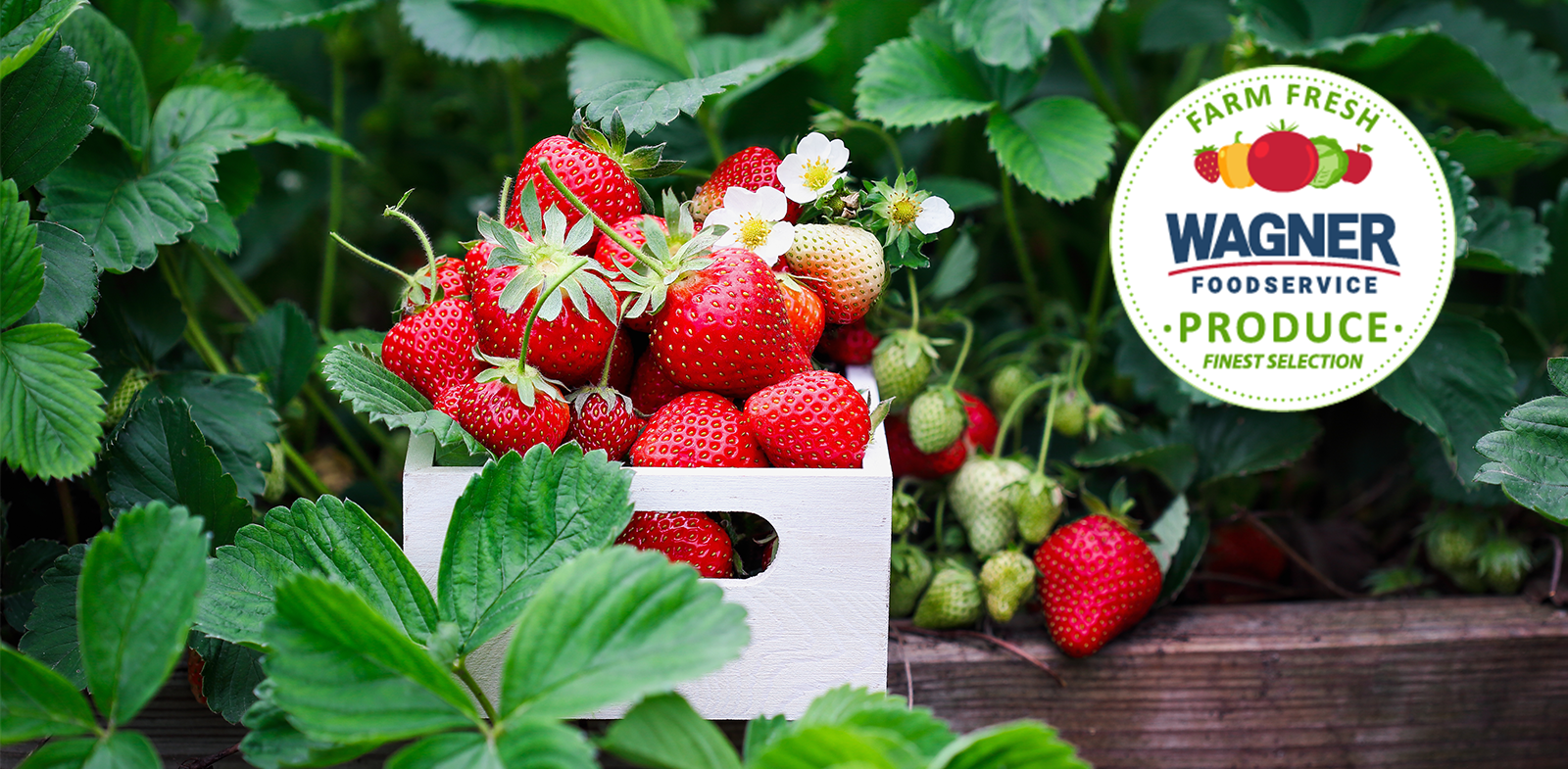 APRIL PRODUCE BANNER.png