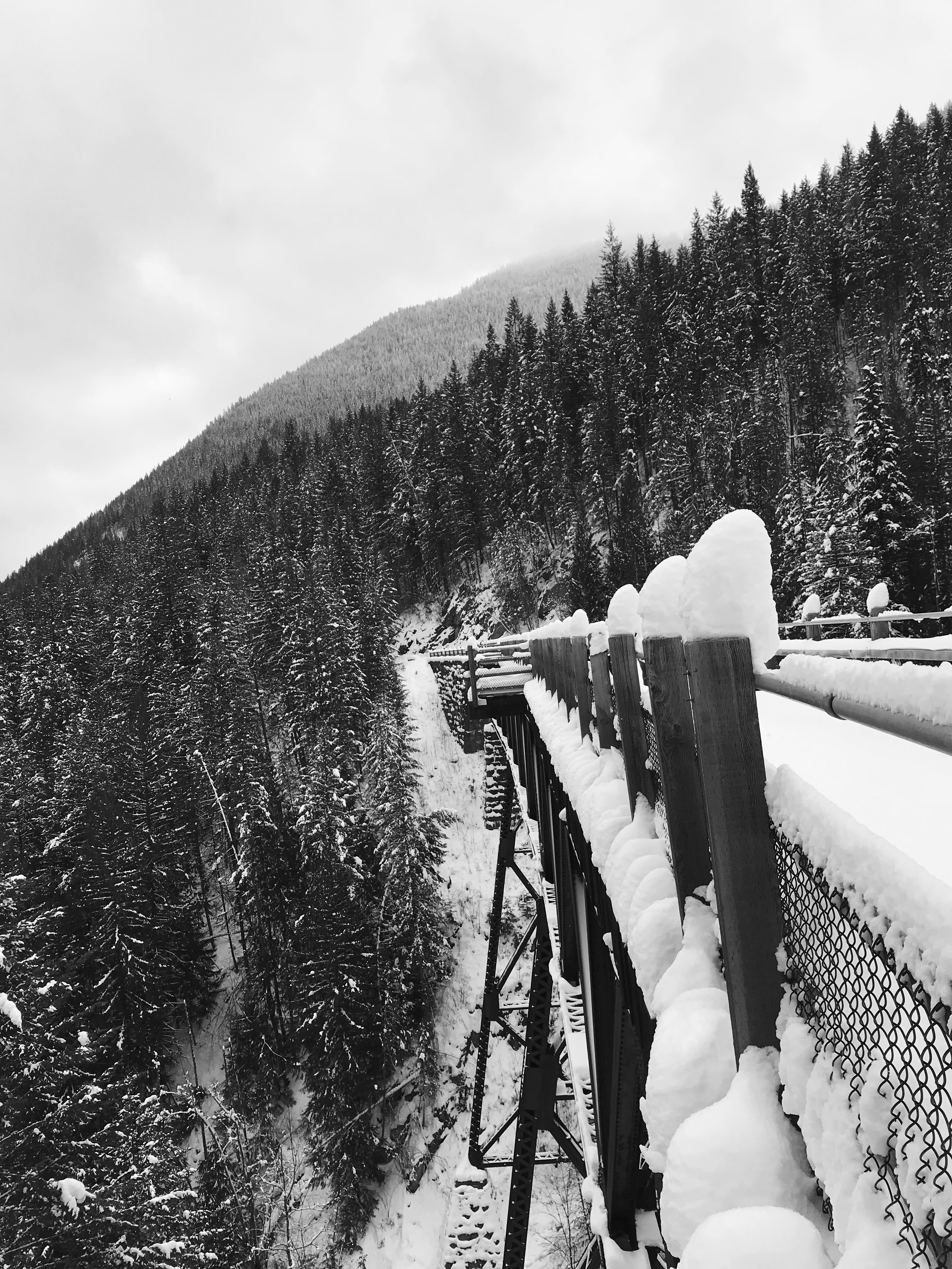 bridge.jpg