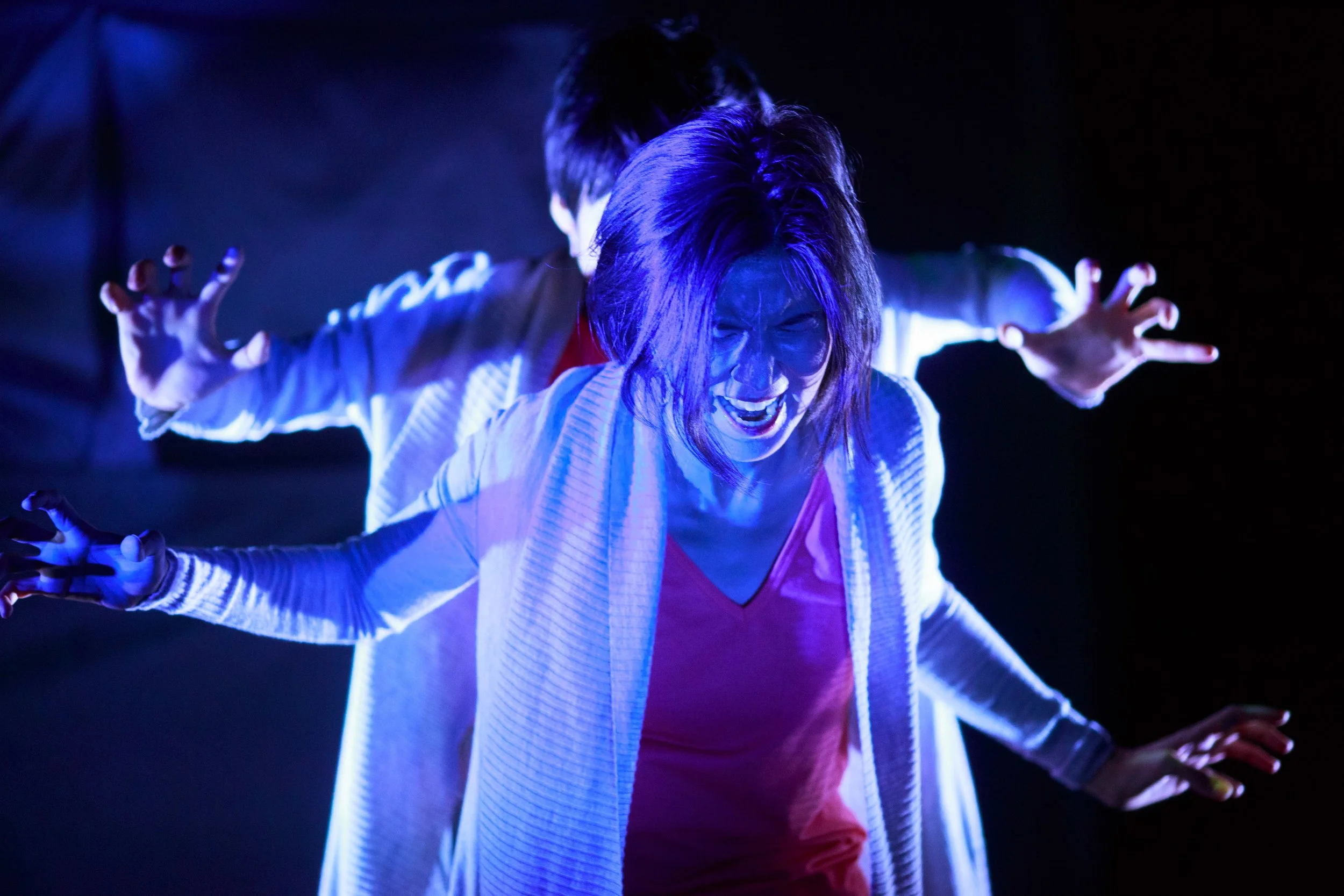 Photos by Max Gordon from BAM Next Wave run and by Susan Zeeman Rogers from Annenberg Center for the Performing Arts premiere.