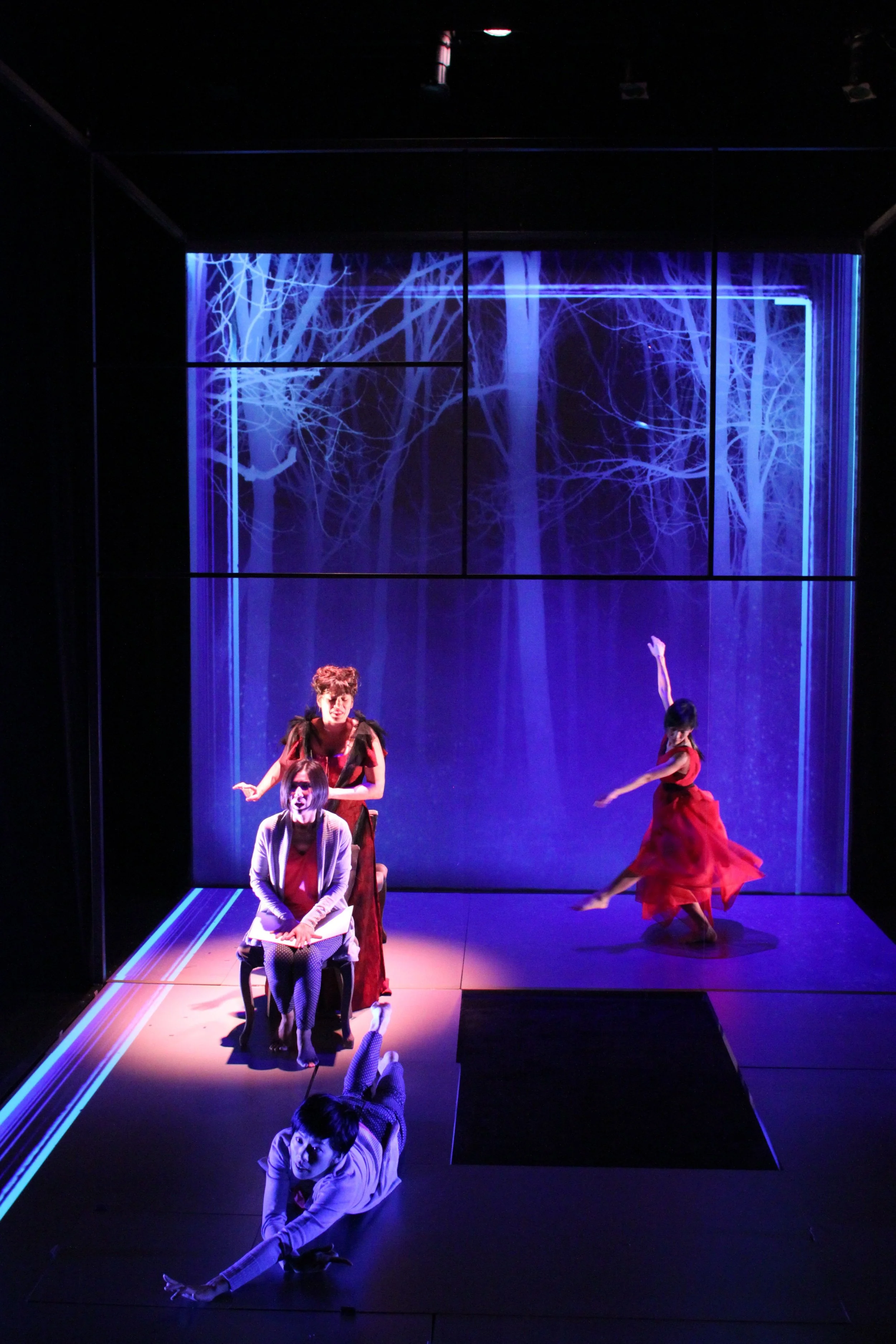Photos by Max Gordon from BAM Next Wave run and by Susan Zeeman Rogers from Annenberg Center for the Performing Arts premiere.