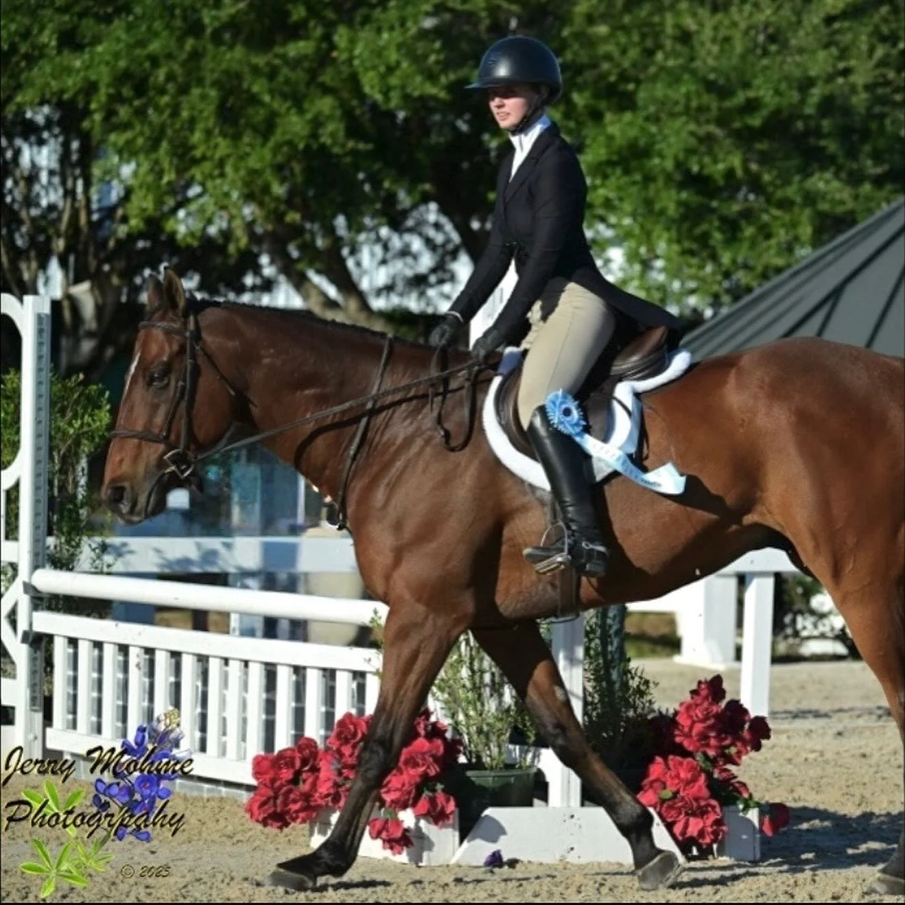 Congratulations to Gracelyn Szewczyk & “Hyperion” on a fantastic weekend at the Monster Mash show🎃
This pair finished:
🏅10th place in the $500 2’6” JR/Non-Pro Hunt ‘n Go Derby
 🏅8th in the THJA Mini Medal 
Congr
