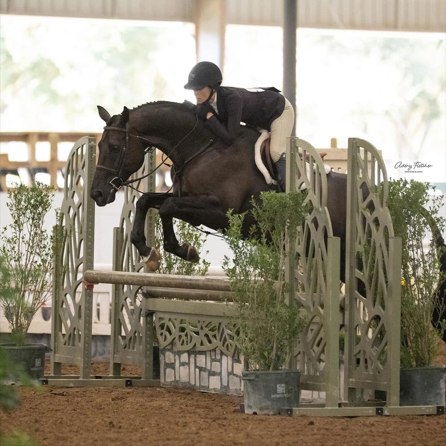 🏆Fall Classic Results 🏆
Congratulations to “Douglas de Riverland”, ridden by Alicia Loving, owned by Rachel Truair, on a great show at the @greatswequestriancenter Fall Classic 👏🏻 
Alicia and Douglas finished the week strong…