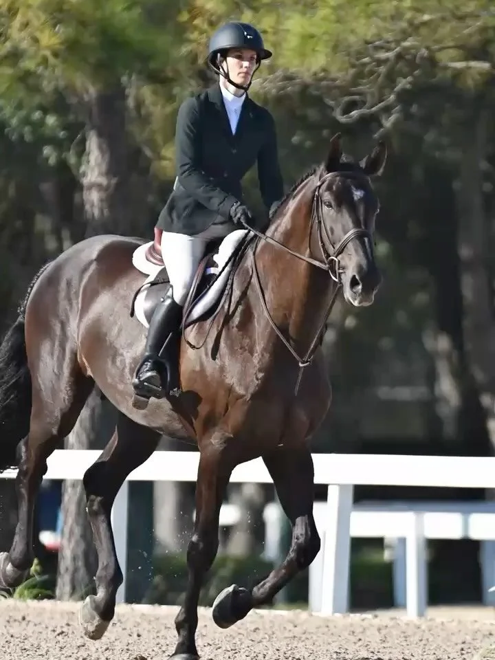 ⭐️Fall Classic Results⭐️
Congratulations to Heather Rogers and “Warhol Z”, aka Dino G, on an amazing debut in the 3’ Adult Hunters, finishing in the top ribbons all week👏🏻🏆