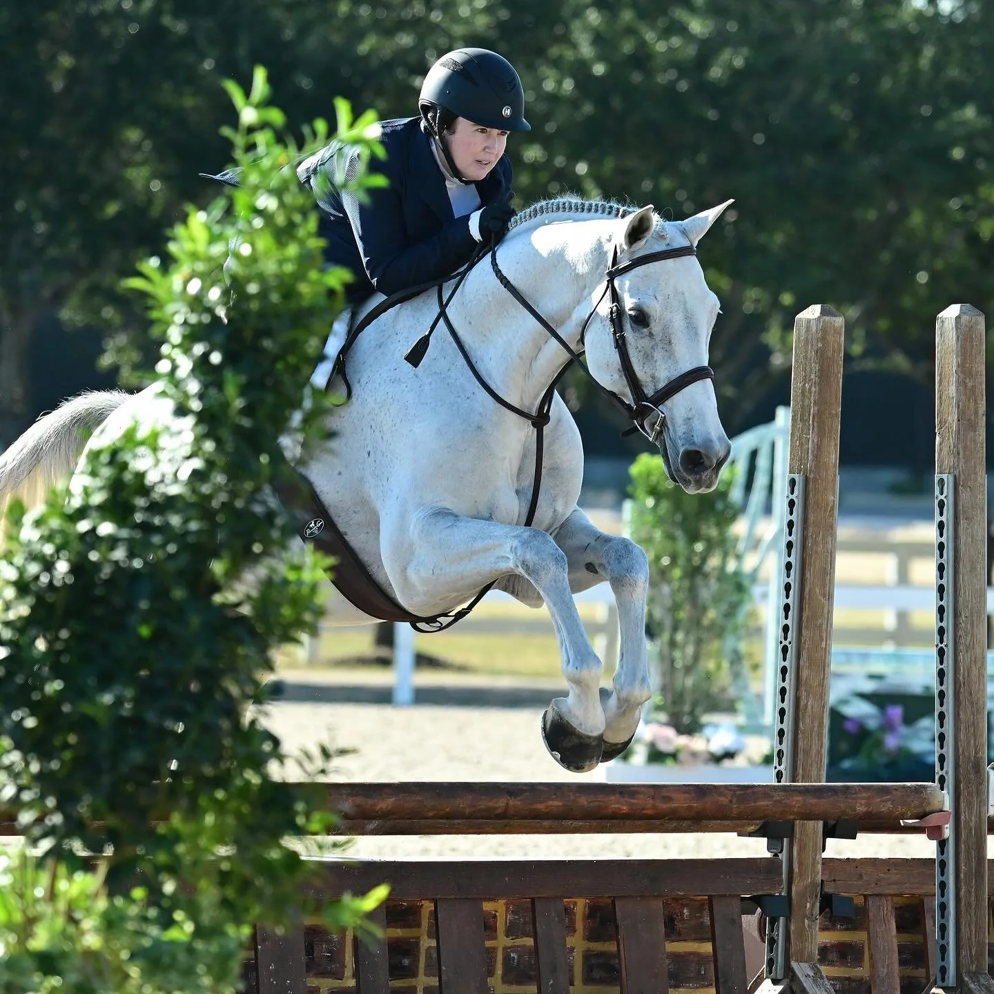 Congratulations to “Finally” and Meredith Ballew on a great Monster Mash 🎃
This pair had a successful show, finishing:
🥇 1st place in one of their Low Adult Hunter O/F, out of 22
& put down a great round in the $500 2’6&rdquo