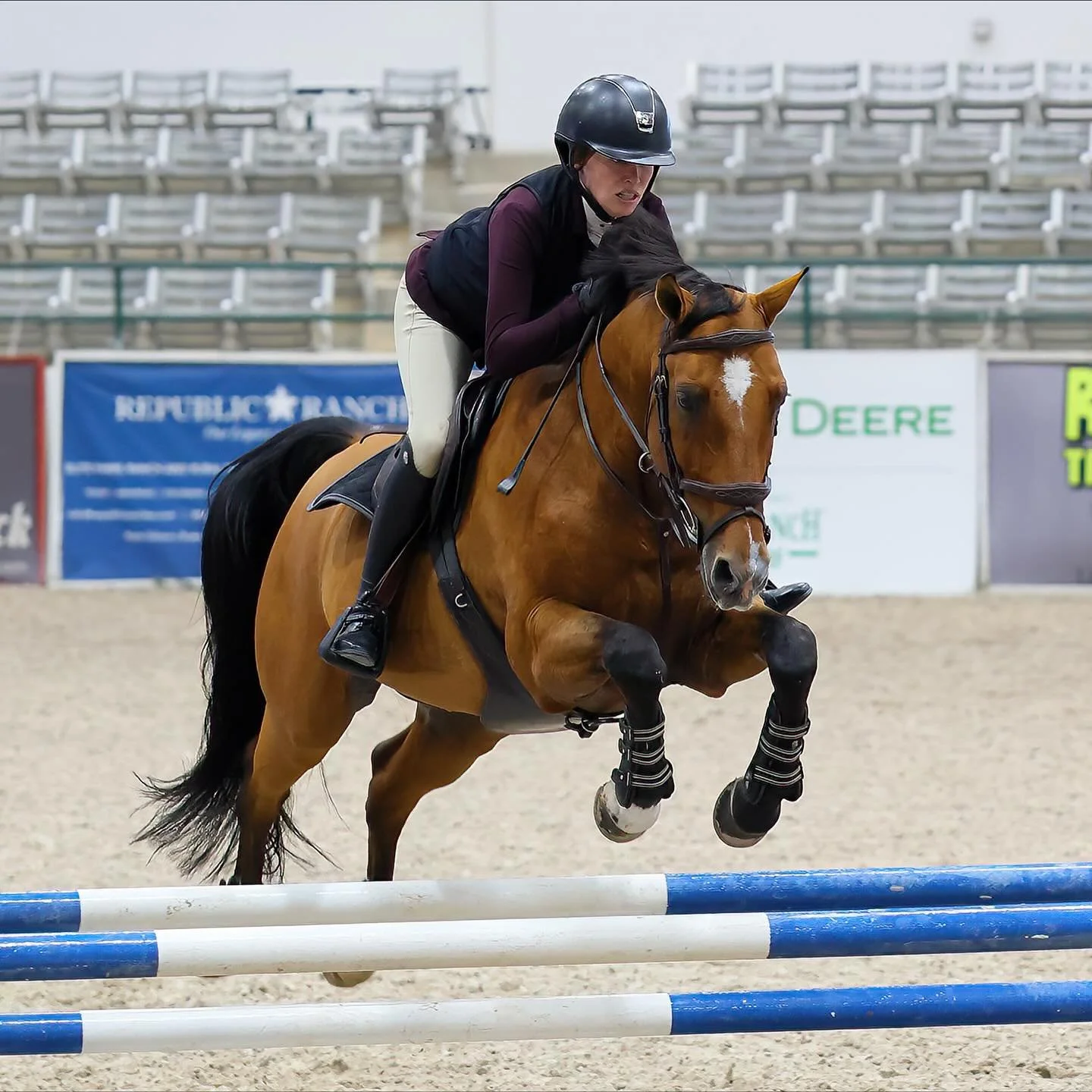 Congratulations to Lauren Buettner & Santa Ana Luxe Z on successful Monster Mash 👏🏻🎃