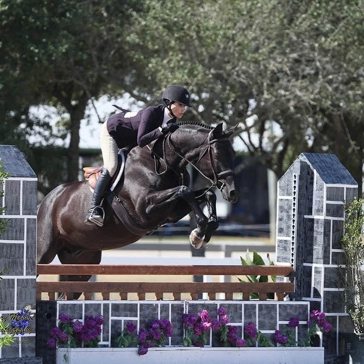 Congratulations to Alicia &amp; &ldquo;Douglas de Riverland&rdquo; owned by Rachel Truair, on a successful final 2 shows of 2025 🎉 

This pair&rsquo;s finished the Autumn Classic horse show:
🏆Champion in the Middle Adults
🏆Zone Champion in the Mid