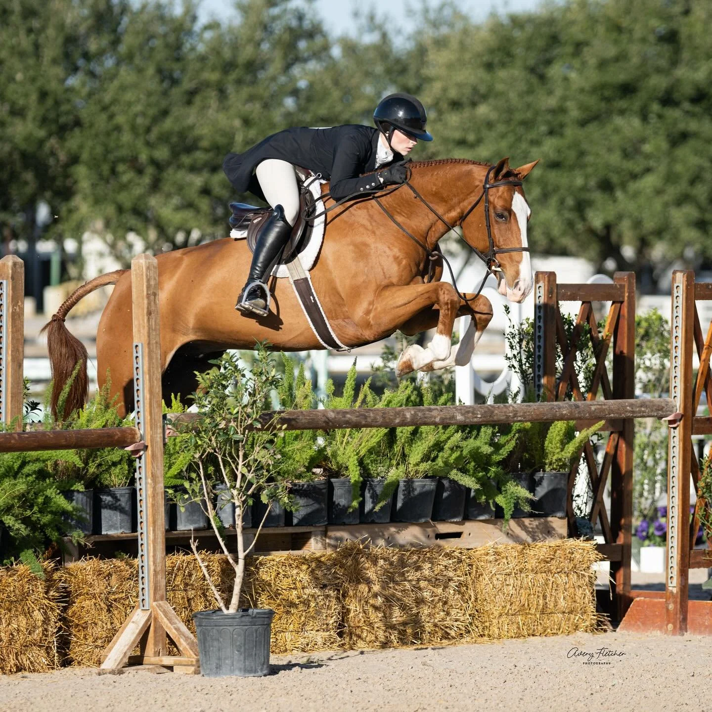 Congratulations to Catherine Moorhead &amp; &ldquo;Quicken 2 PR&rdquo; on a successful final 2 shows of 2025 🎉 

This pair&rsquo;s finished the Autumn Classic horse show:
🏅Zone Champion in the 3&rsquo;6&rdquo; Amateur Owners

&amp; finished the Fin