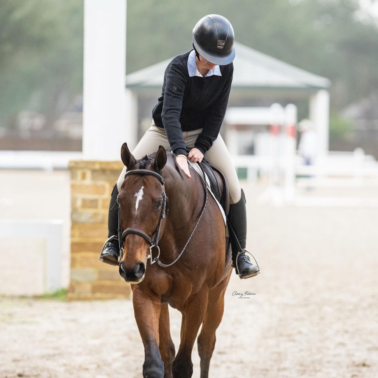 Congratulations to Gracelyn Szewczyk &amp; &ldquo;Hyperion&rdquo; on a successful final show of 2025 🎉 

This pair&rsquo;s finished the Final Chase horse show with top ribbons in the Limit Hunters, Limit Equitation &amp; Pre-Child Hunters 🏆🏅 

Exc
