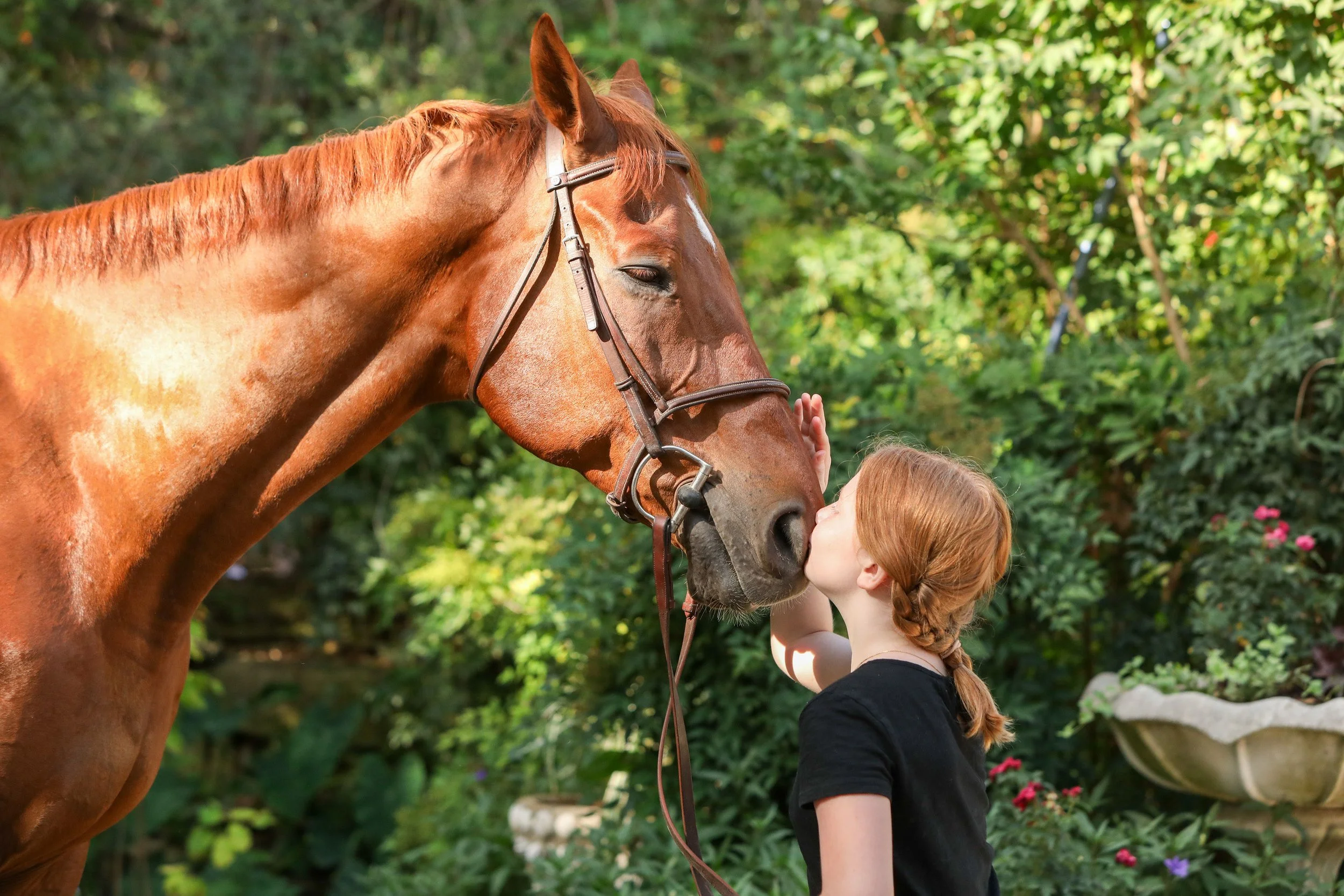 A young girl with red hair and a braid kisses a large brown horse on the nose in a lush garden setting.