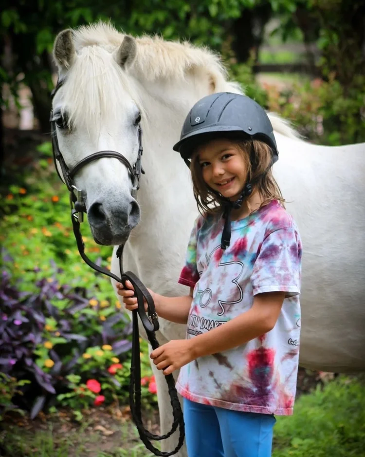 Switch Willo Stables