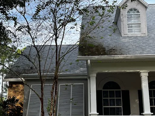 jessica-roof-before.jpg