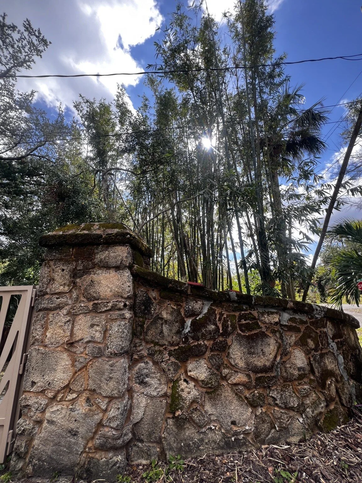 stone-wall-cleaning-after.jpg