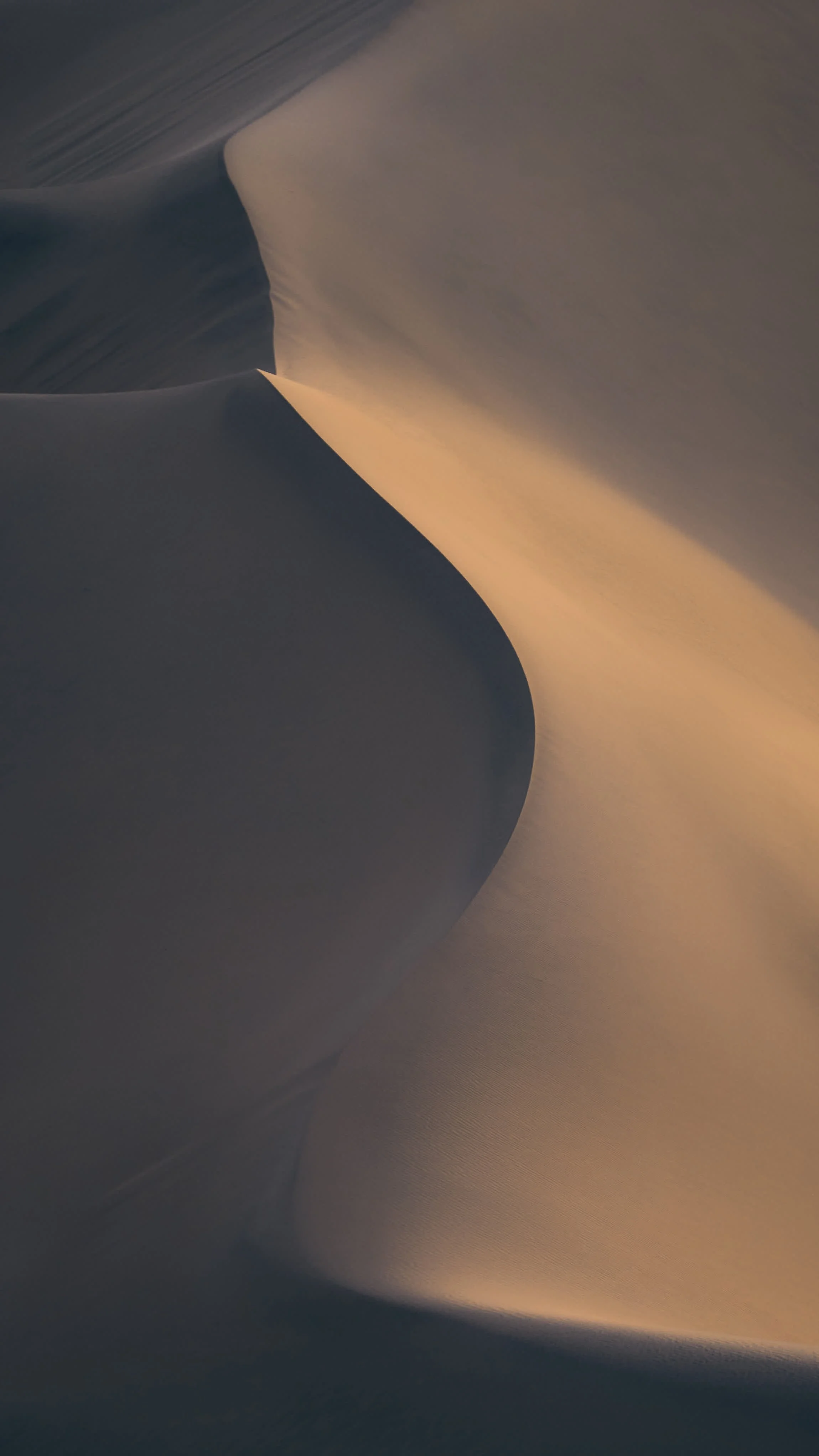 Close-up of sand dunes during sunset or sunrise, with soft shadows and warm lighting highlighting the curves and textures of the dunes.