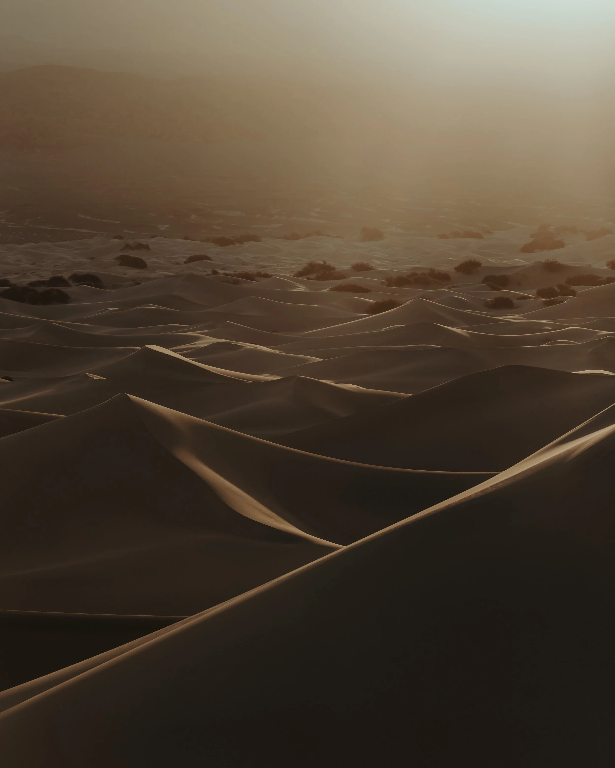 Sand dunes in a desert during golden hour with sunlight illuminating the smooth, rolling sand formations.