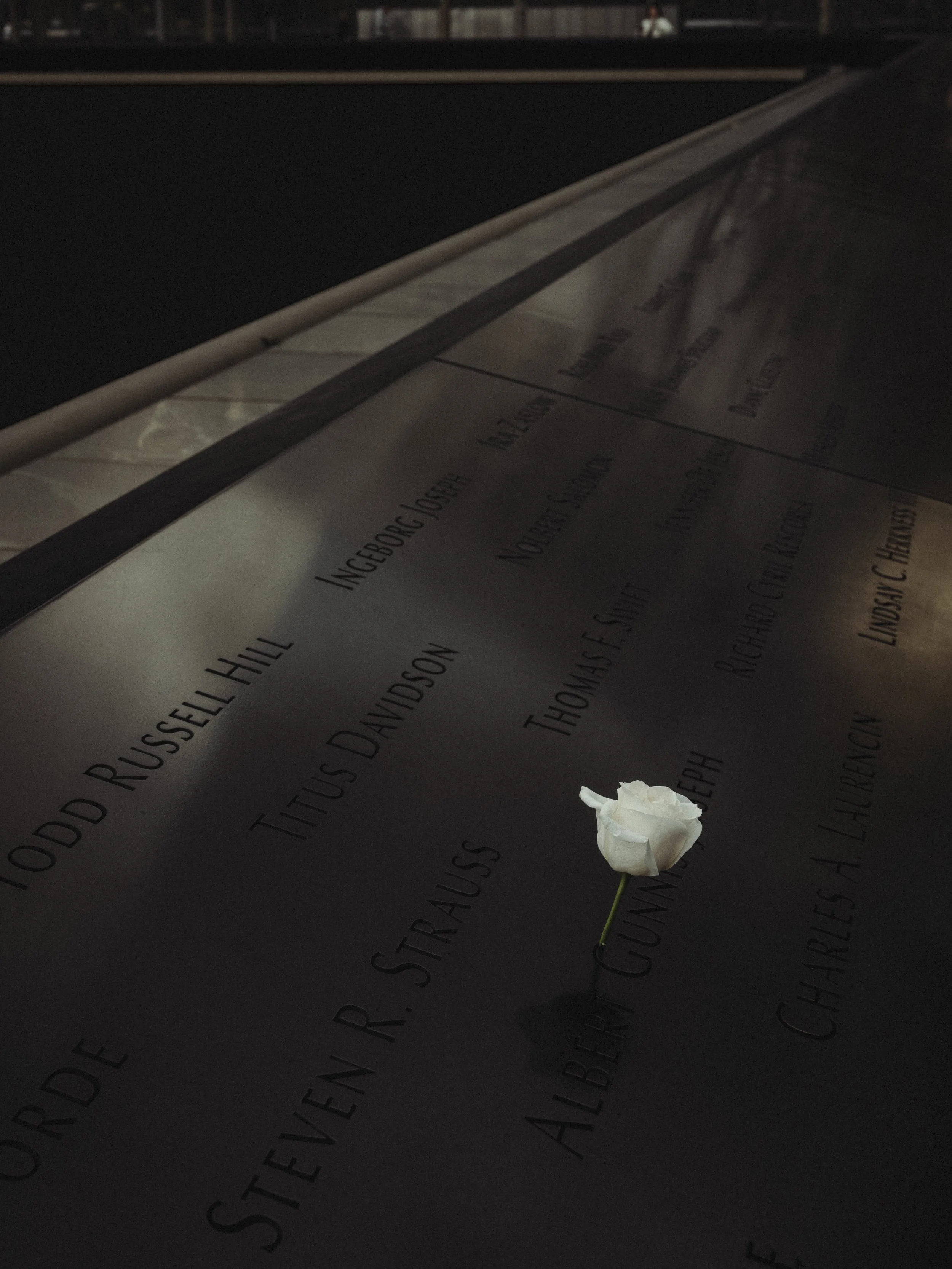 A memorial plaque with engraved names, illuminated at night, with a white flower placed on it.