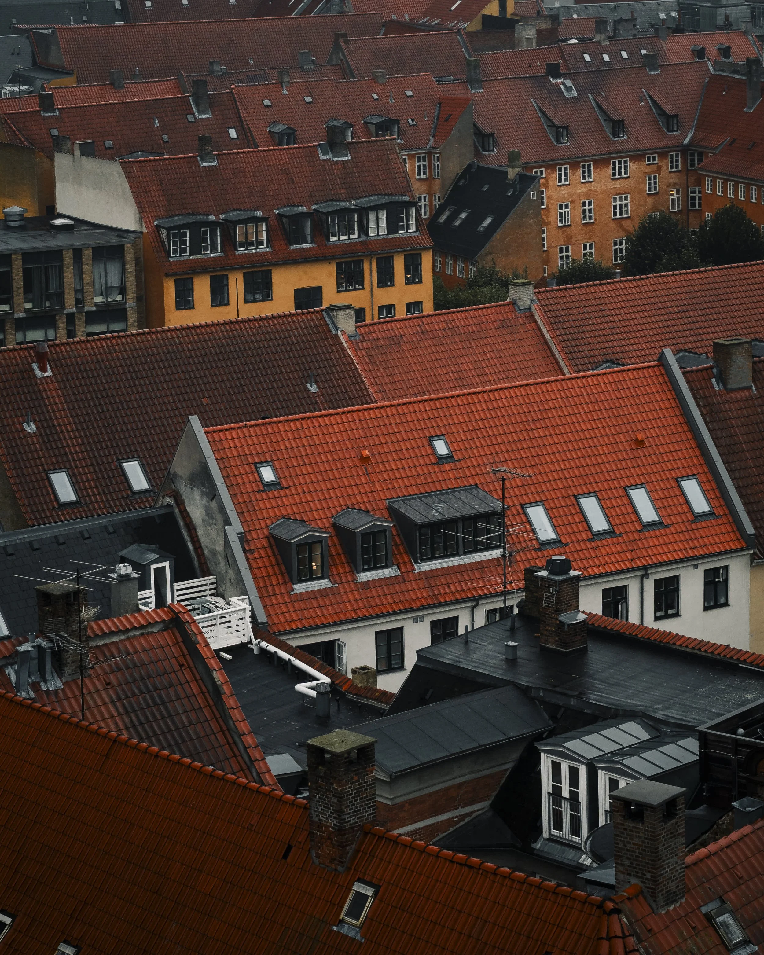 Aerial view of rooftops with red, black, and beige tiles on buildings in a city.
